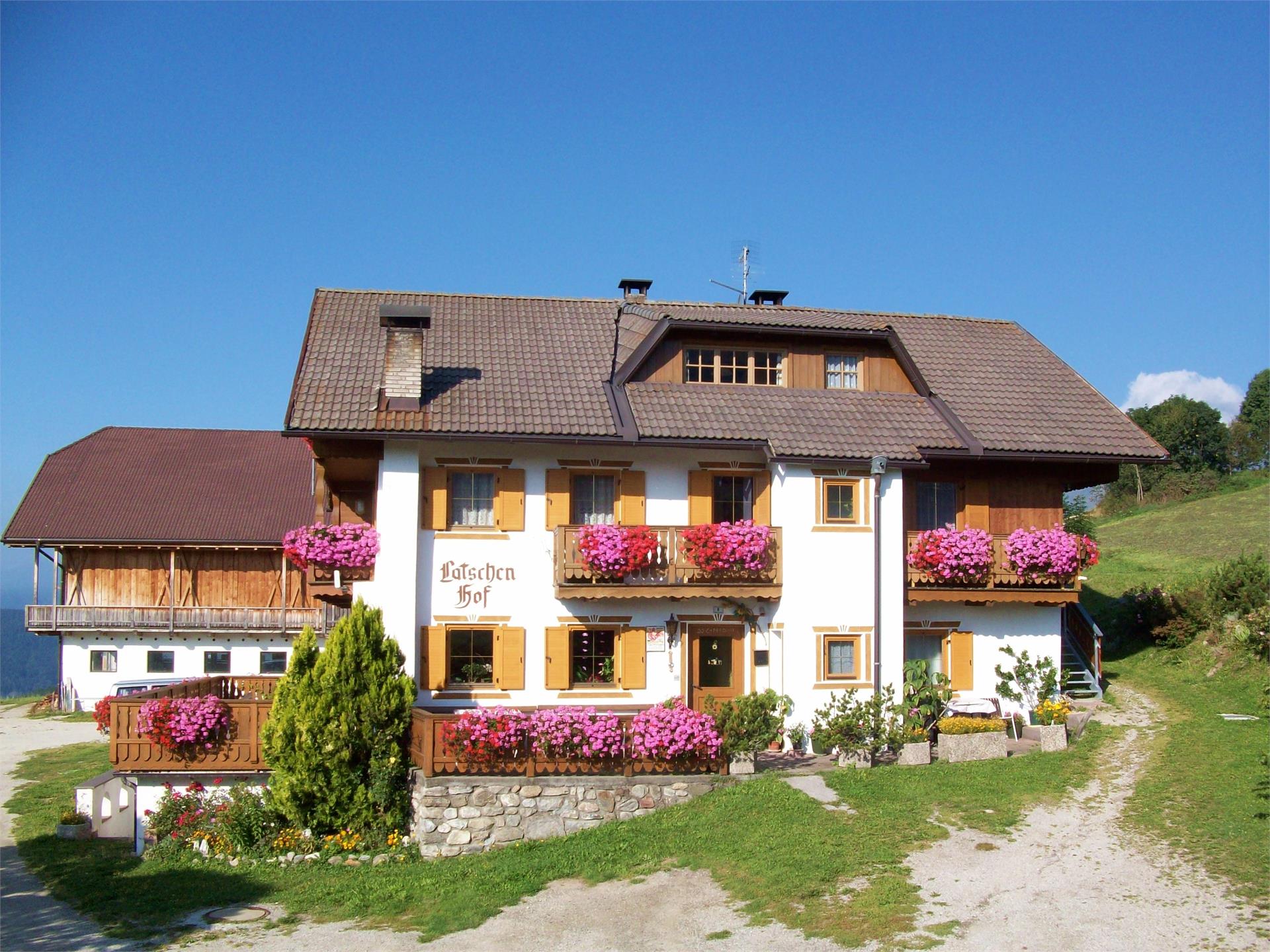 UaB Latschenhof Terenten 1 suedtirol.info