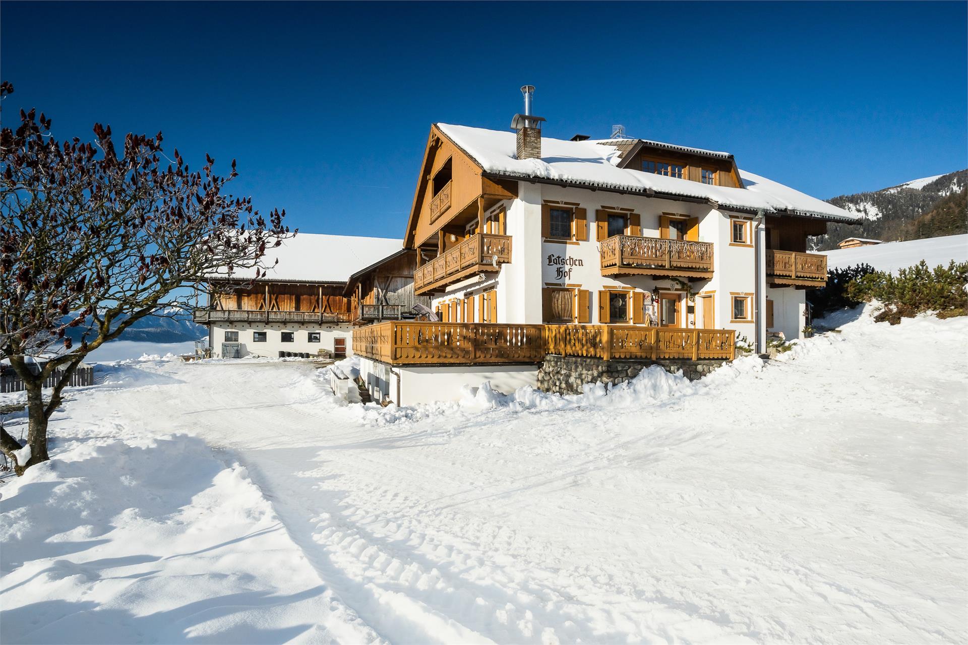 UaB Latschenhof Terenten 3 suedtirol.info