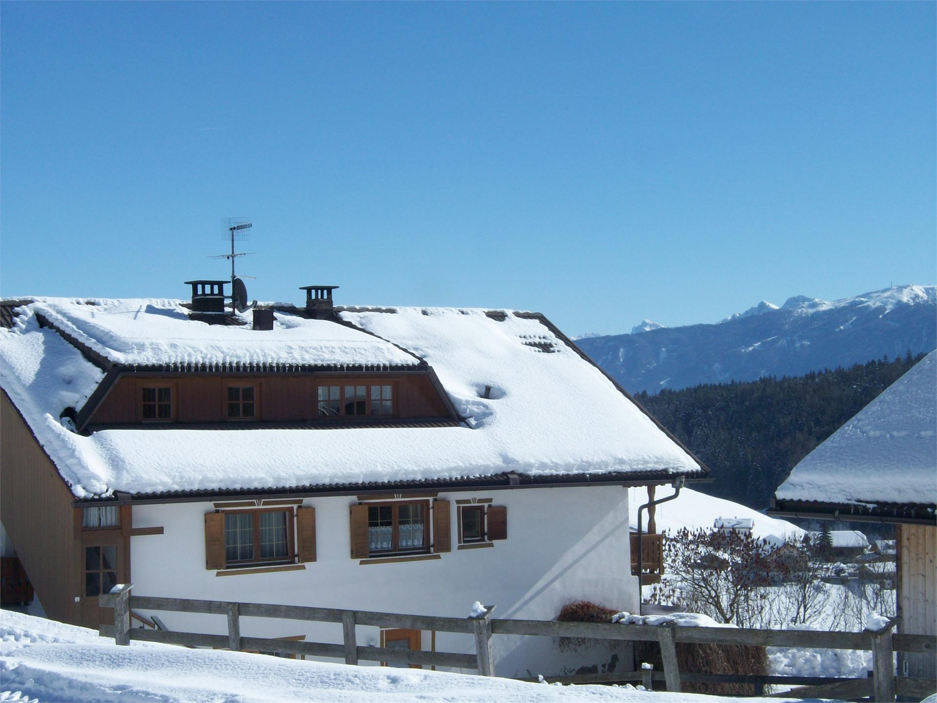 UaB Latschenhof Terenten 9 suedtirol.info
