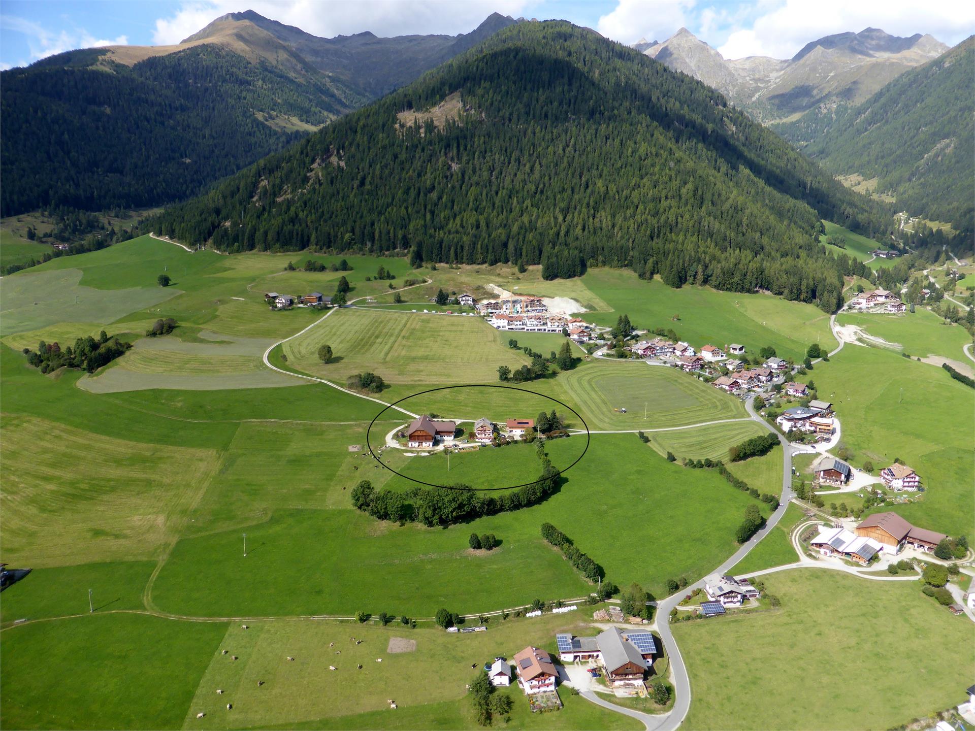 UaB Latschenhof Terenten 6 suedtirol.info