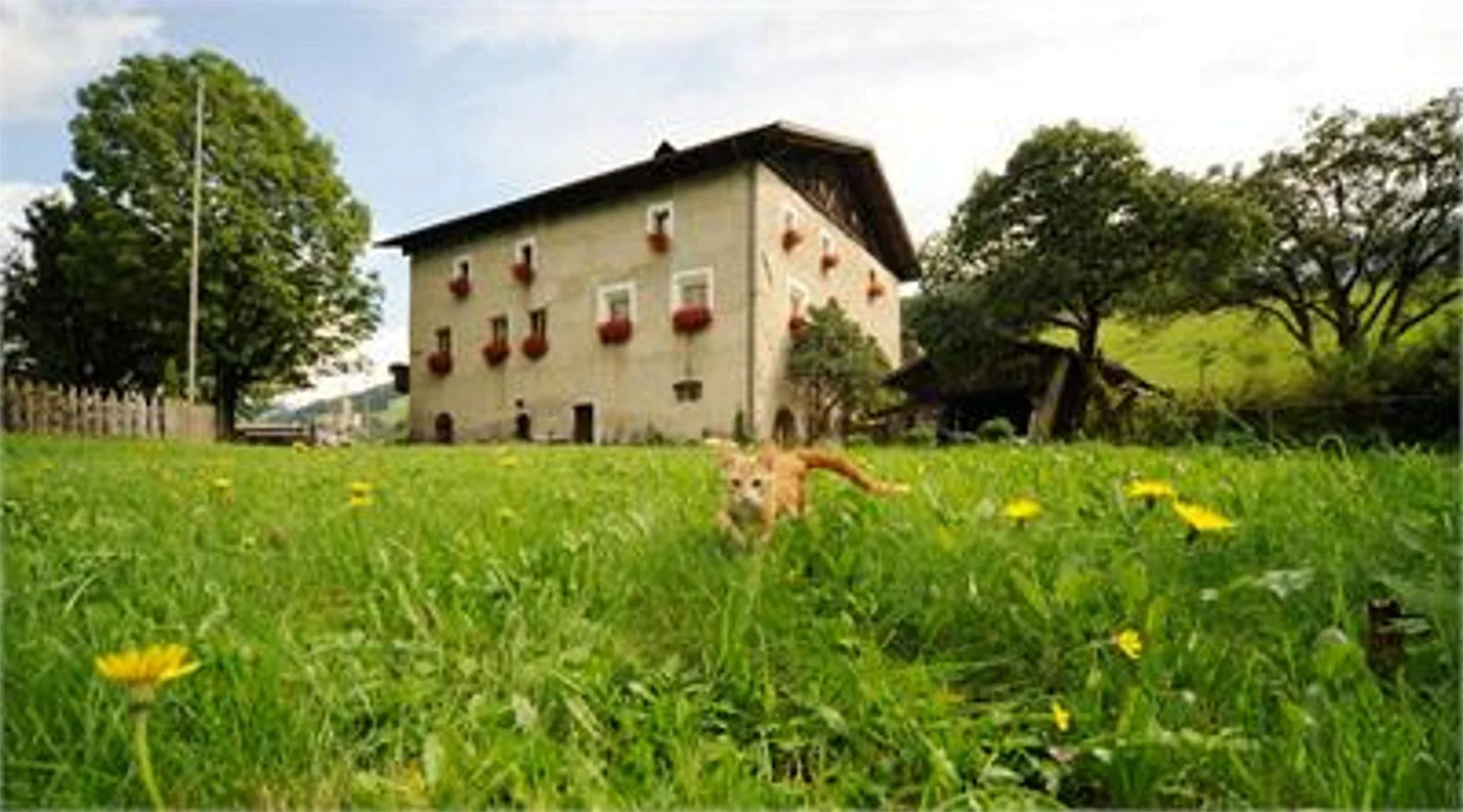 Agriturismo Moserhof Sarentino 14 suedtirol.info