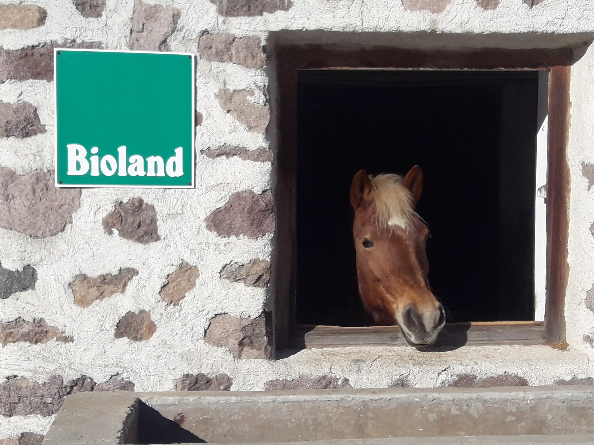 Farm Holiday Moserhof