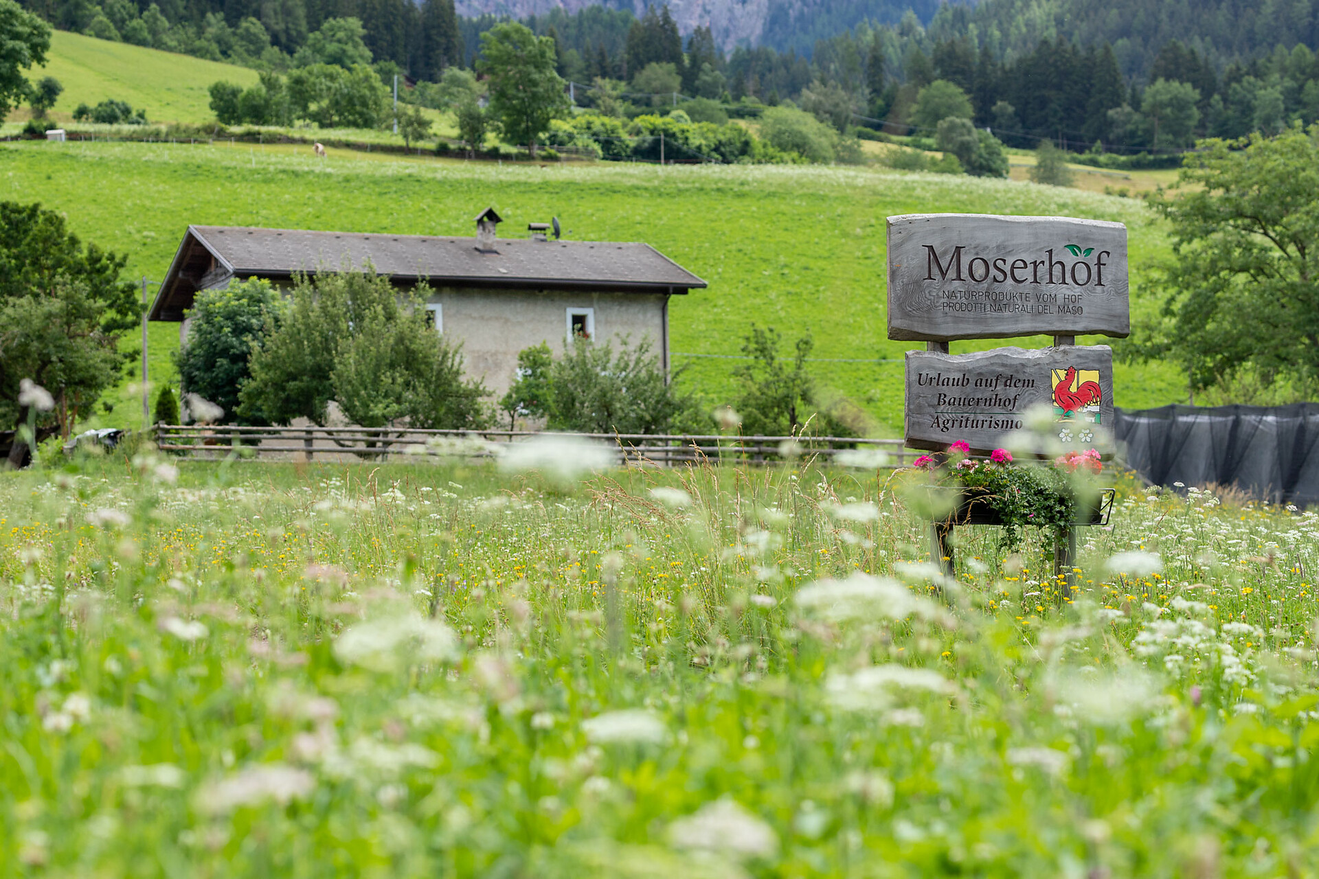 Moserhof