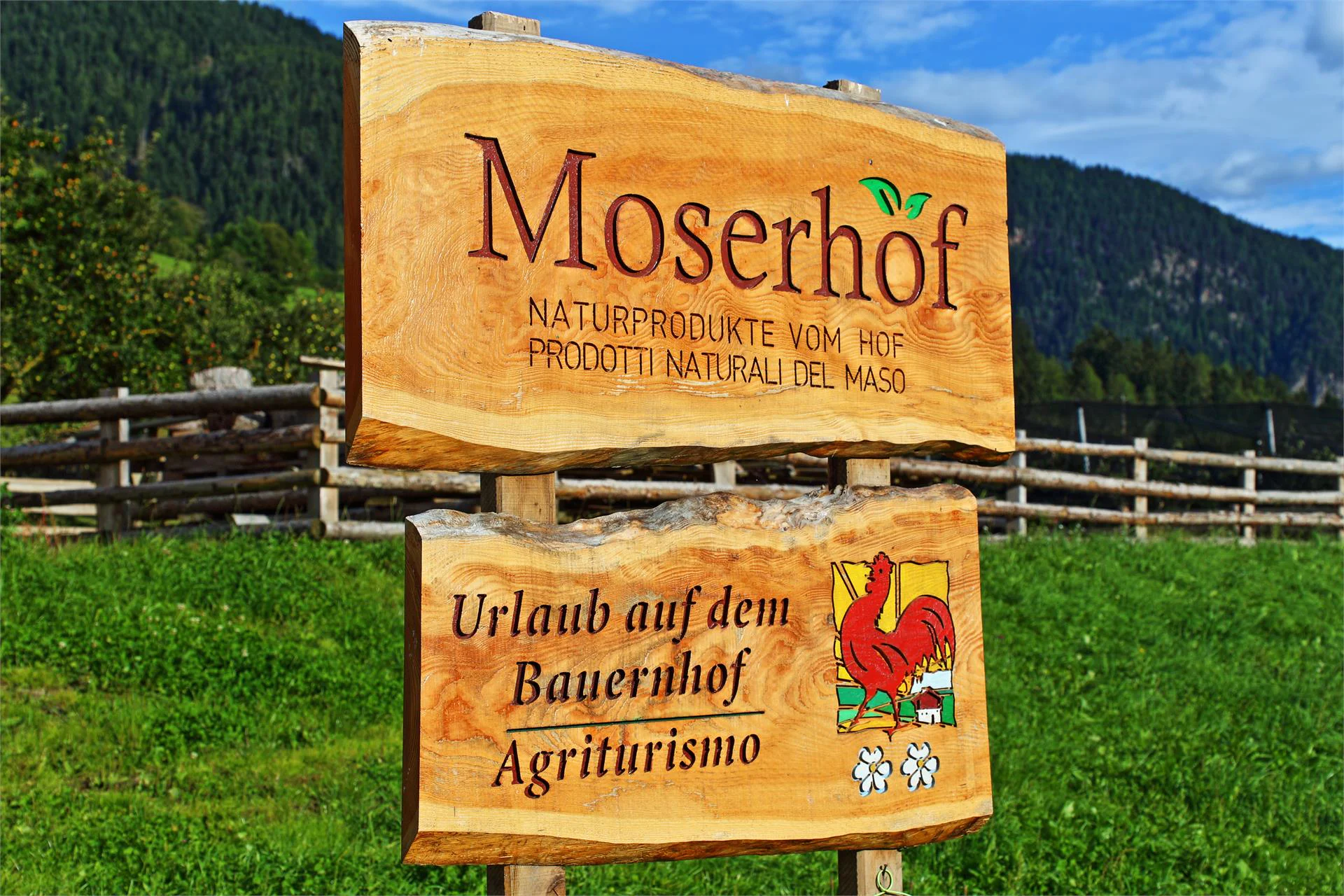 Urlaub auf dem Bauernhof Moserhof Sarntal 2 suedtirol.info