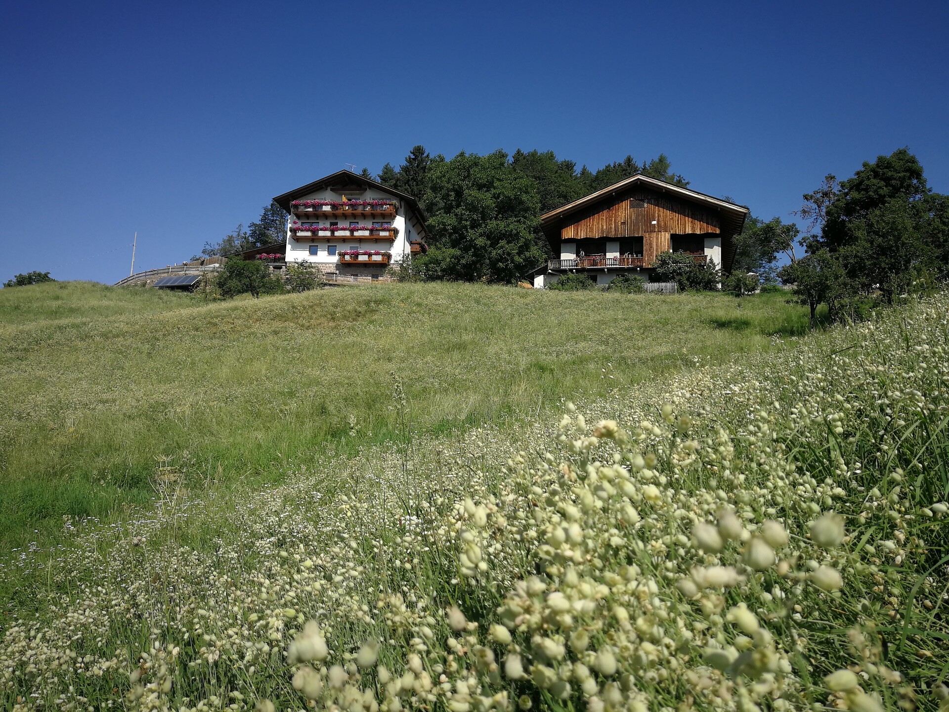 Untermathon Hof in Vöran/Verano, South Tyrol