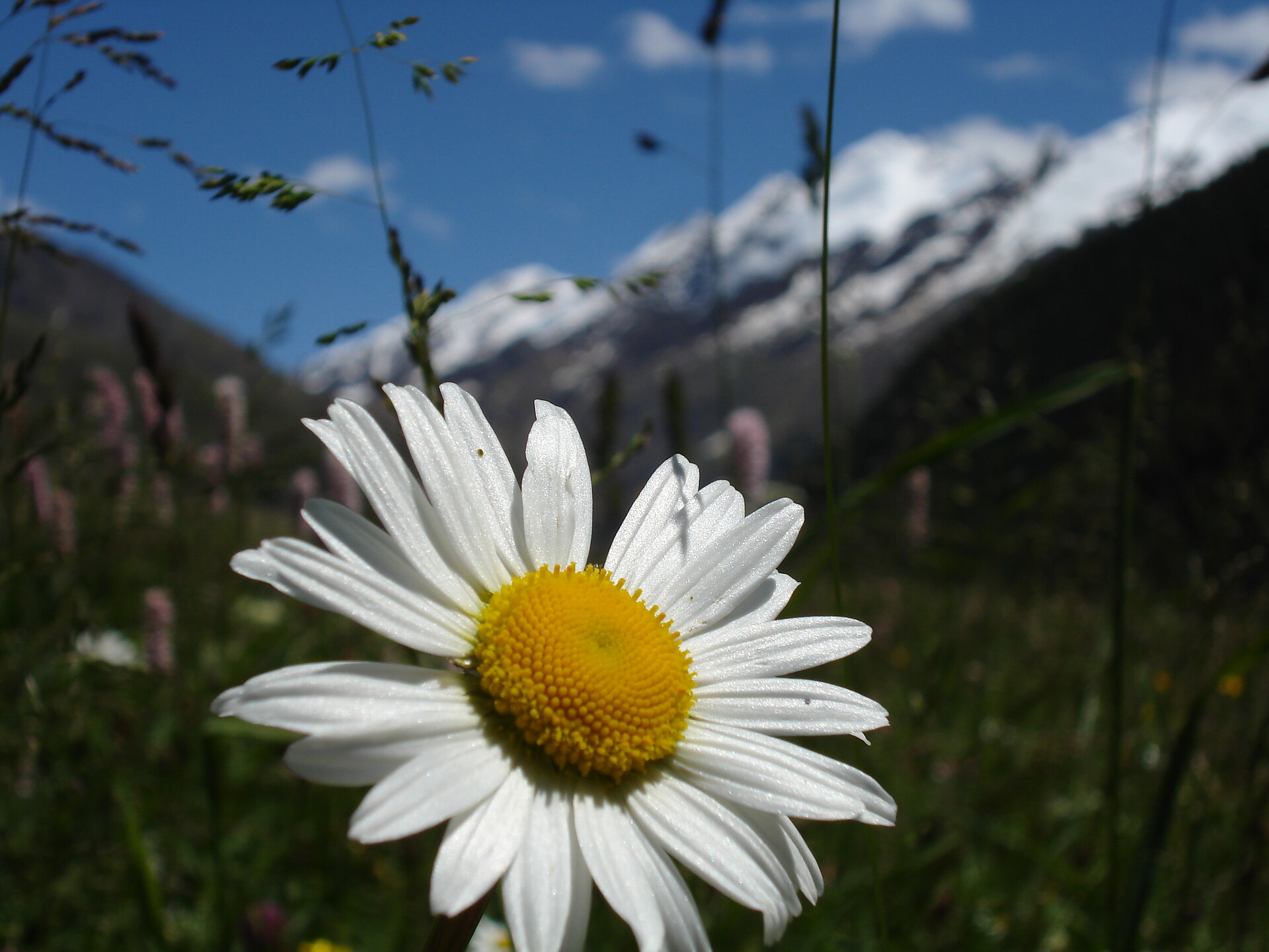 UAB Kapplhof Graun im Vinschgau 10 suedtirol.info