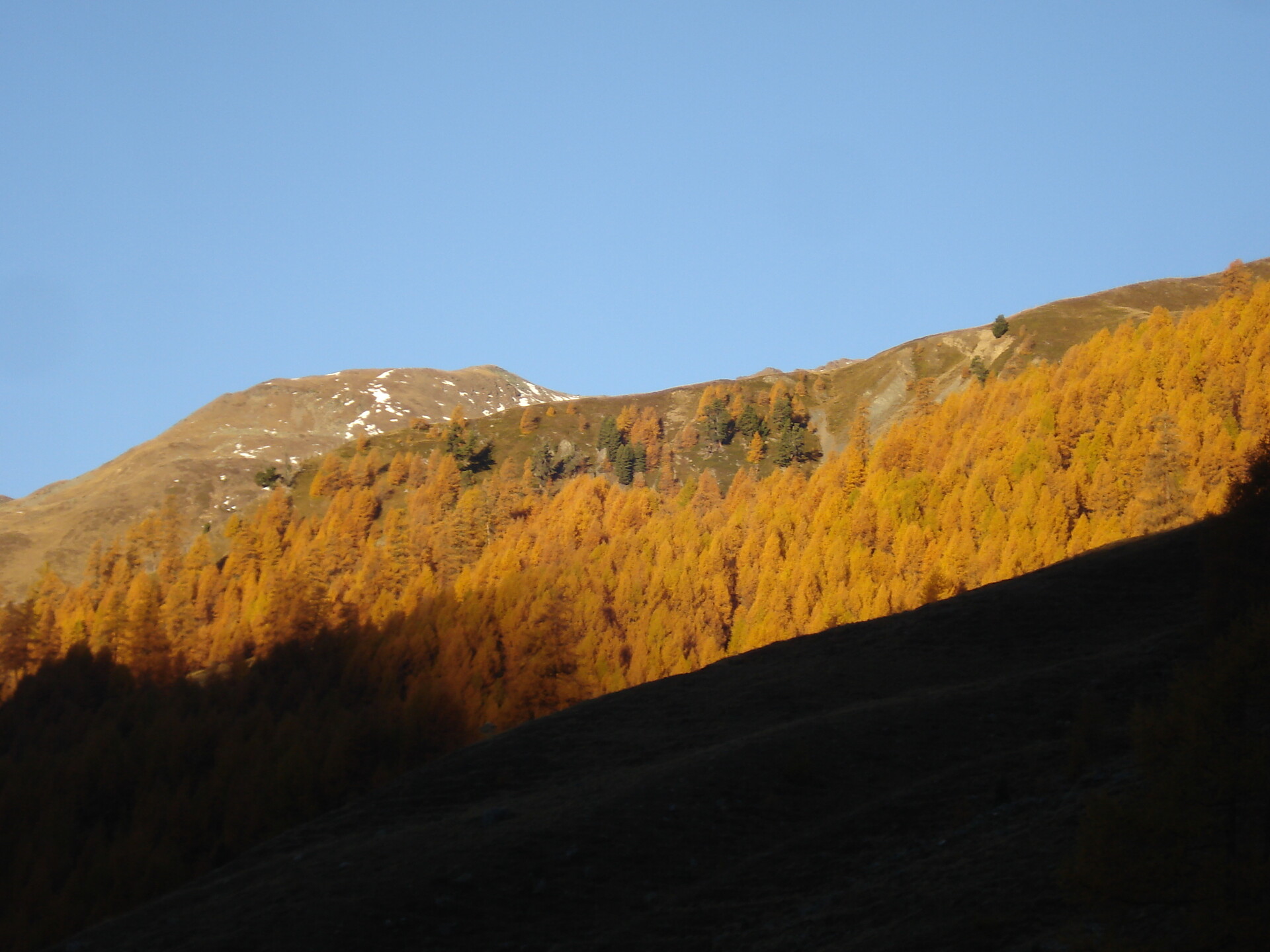 UAB Kapplhof Graun im Vinschgau 12 suedtirol.info