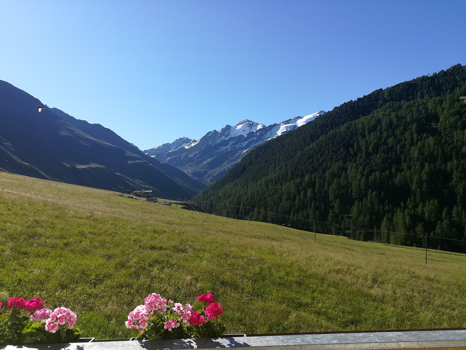 UAB Kapplhof Graun im Vinschgau 14 suedtirol.info