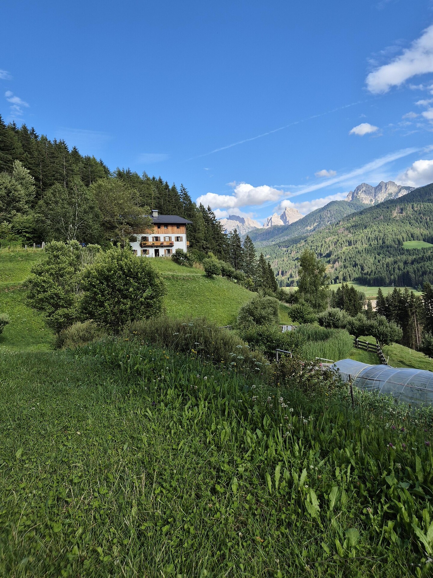 Sommer auf Unterstein