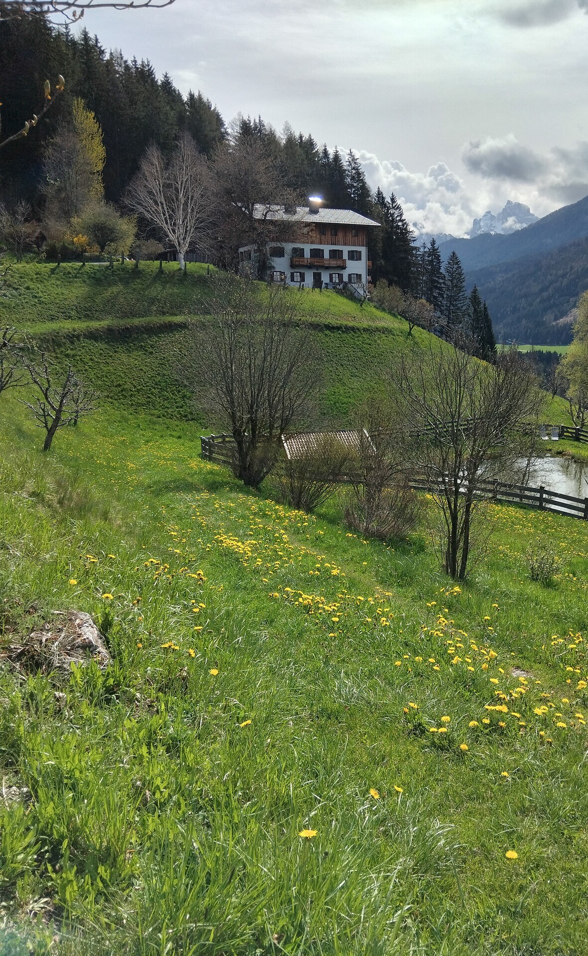 Frühling/Unterstein