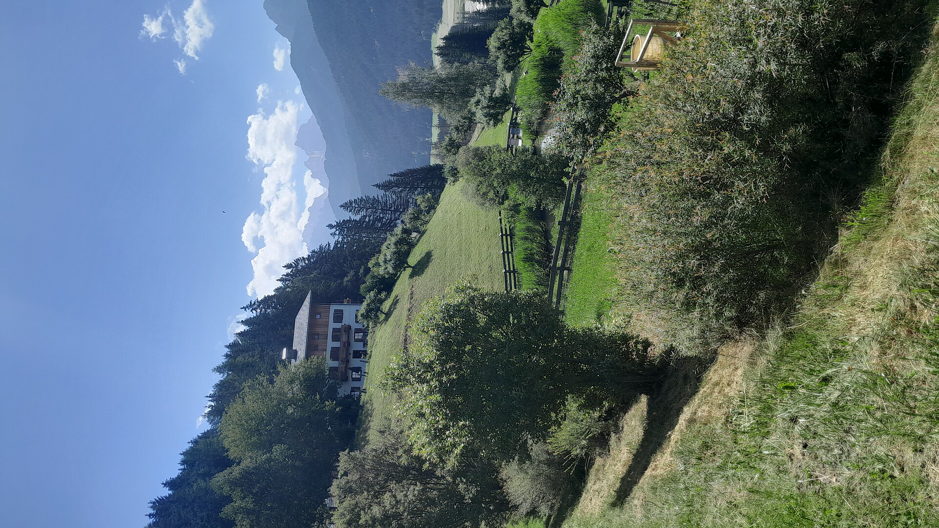 estate