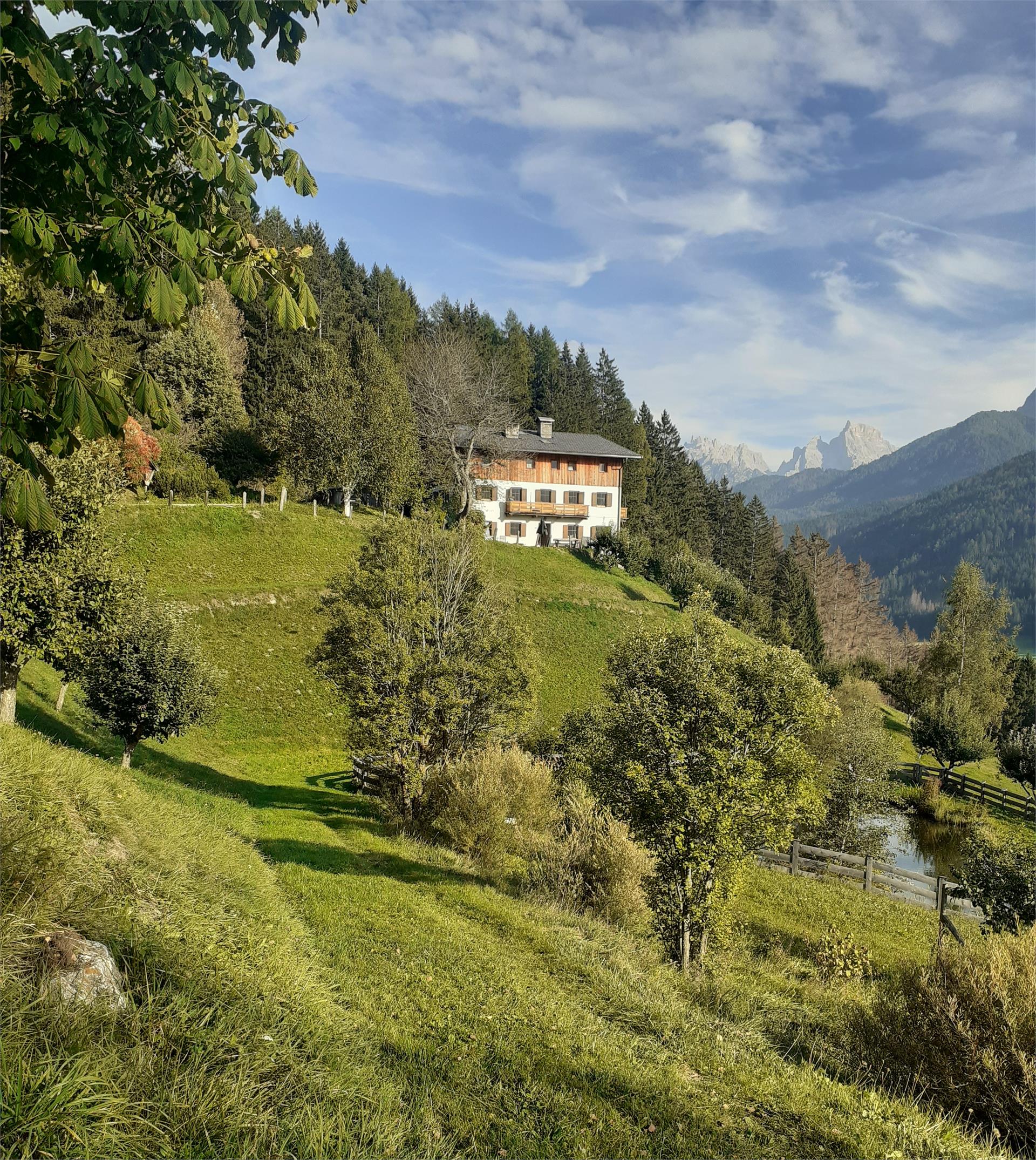 "Unterstein" Villabassa 13 suedtirol.info