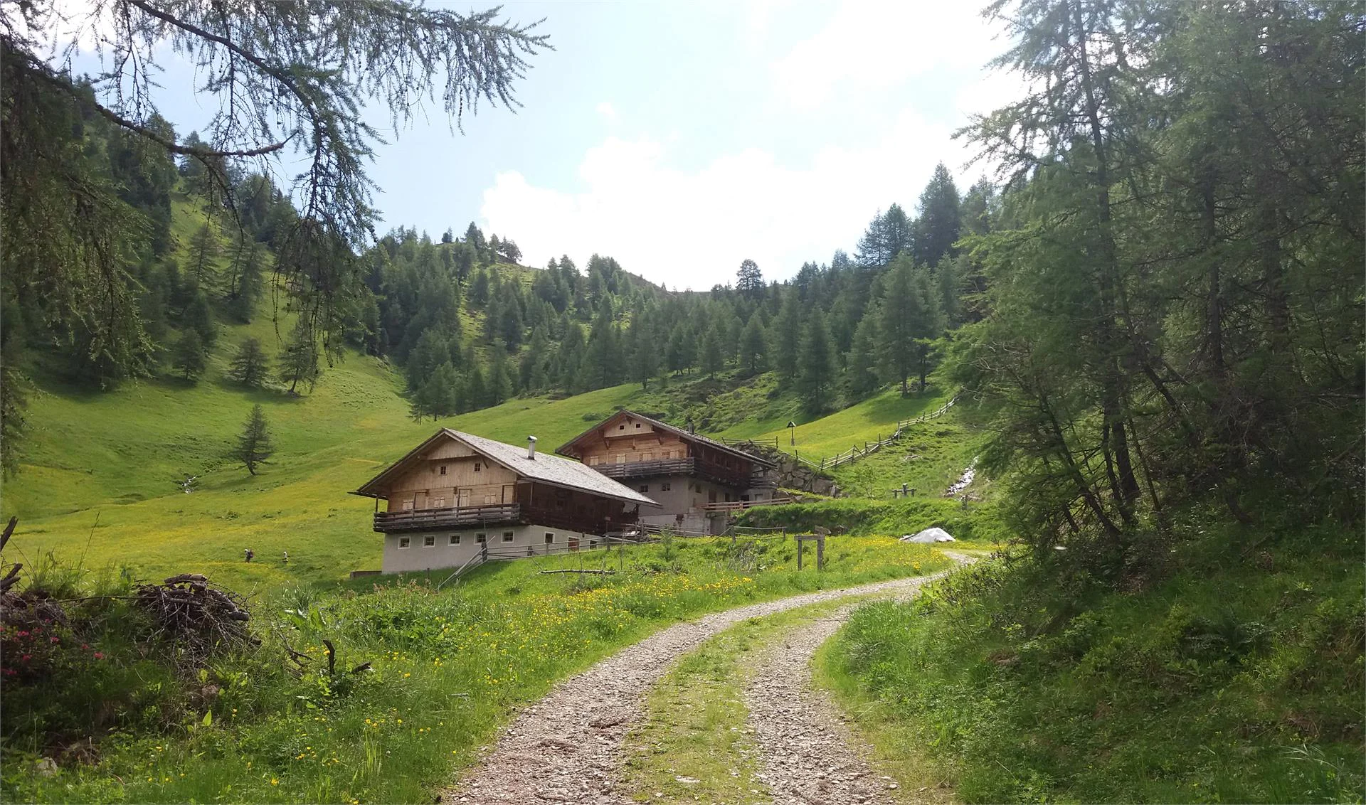 Unterweckerlerhof Valle di Casies 4 suedtirol.info