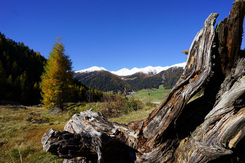 autumn