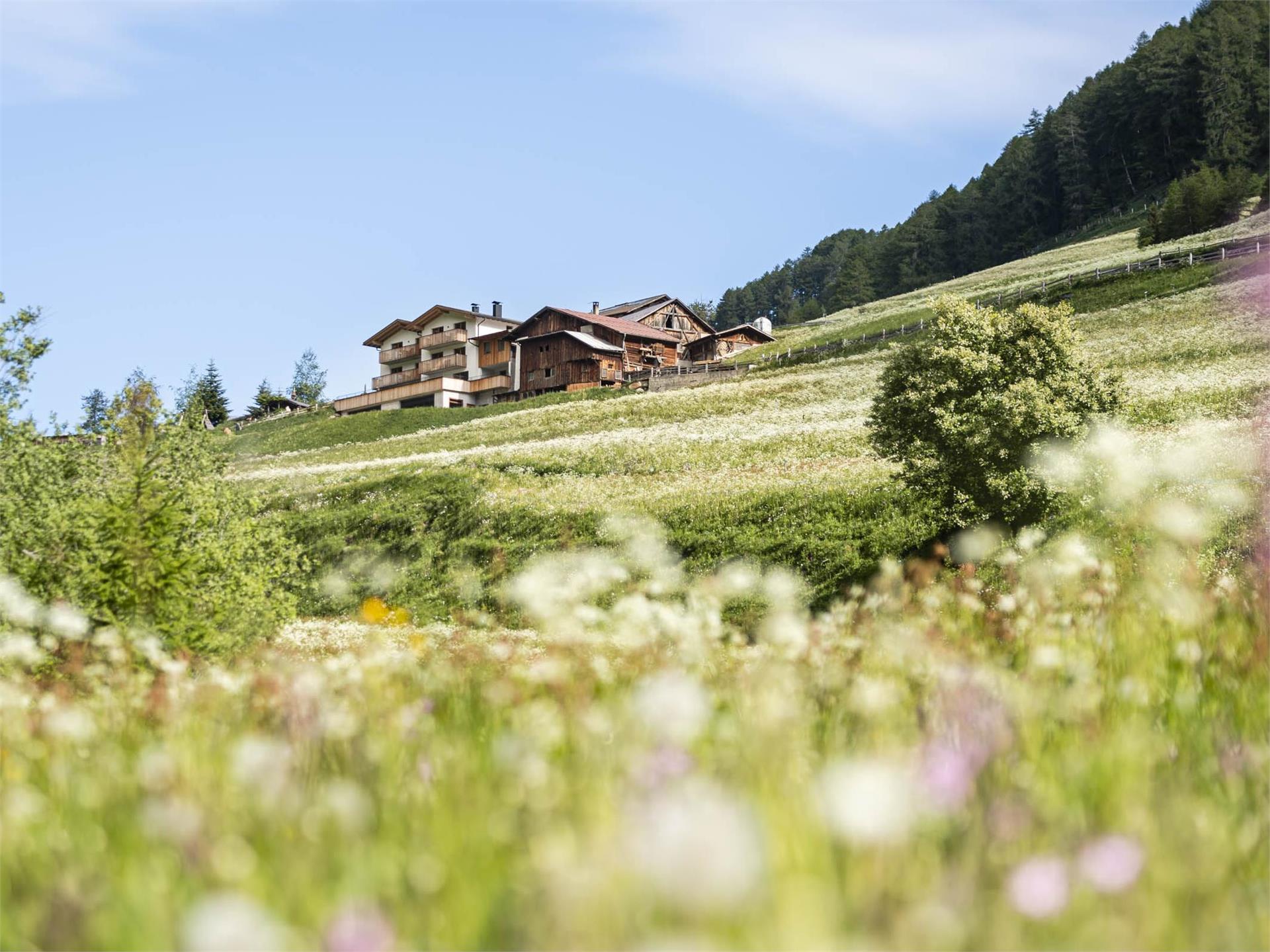 Unterlutaschghof Mals 1 suedtirol.info