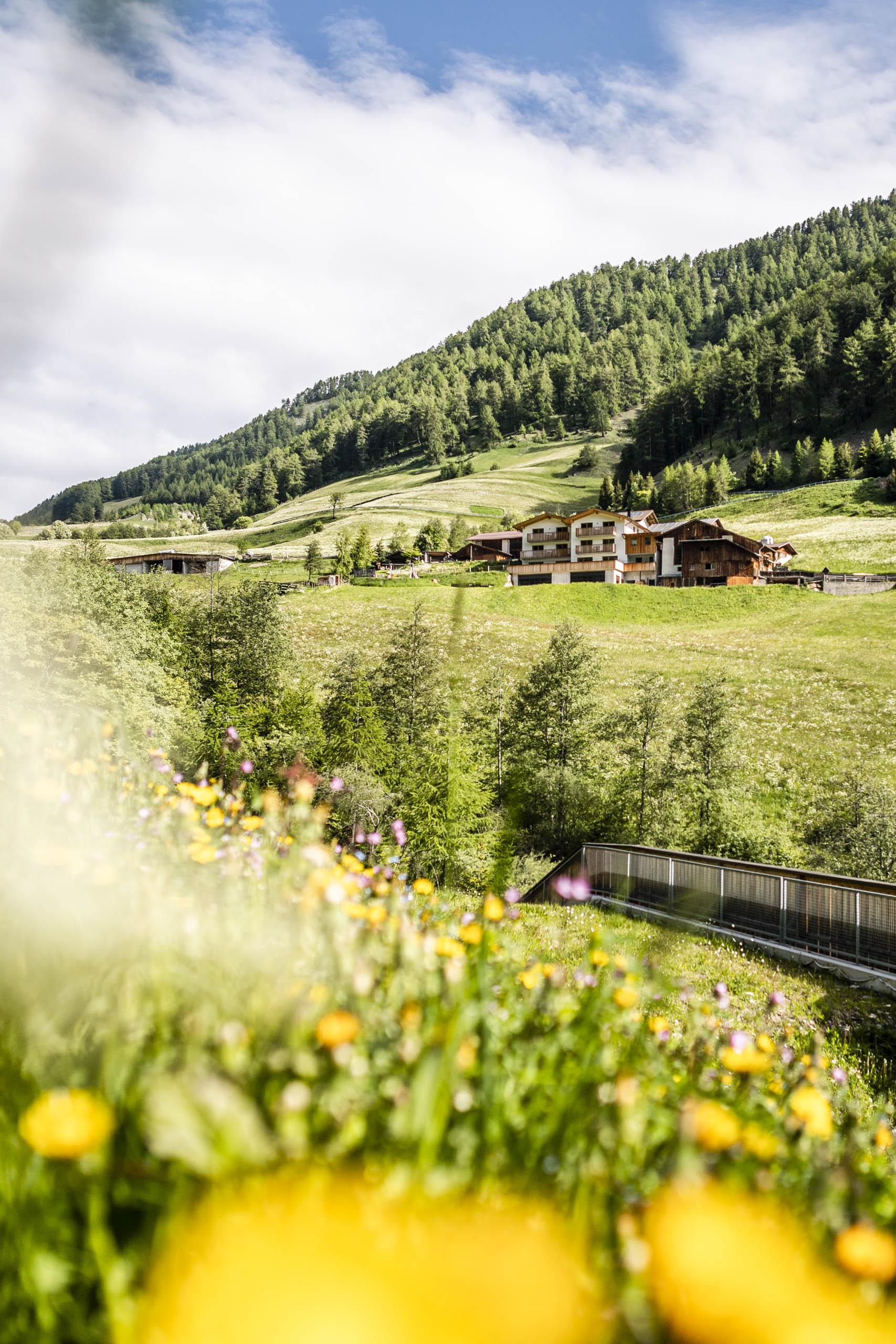 Unterlutaschghof Mals 23 suedtirol.info