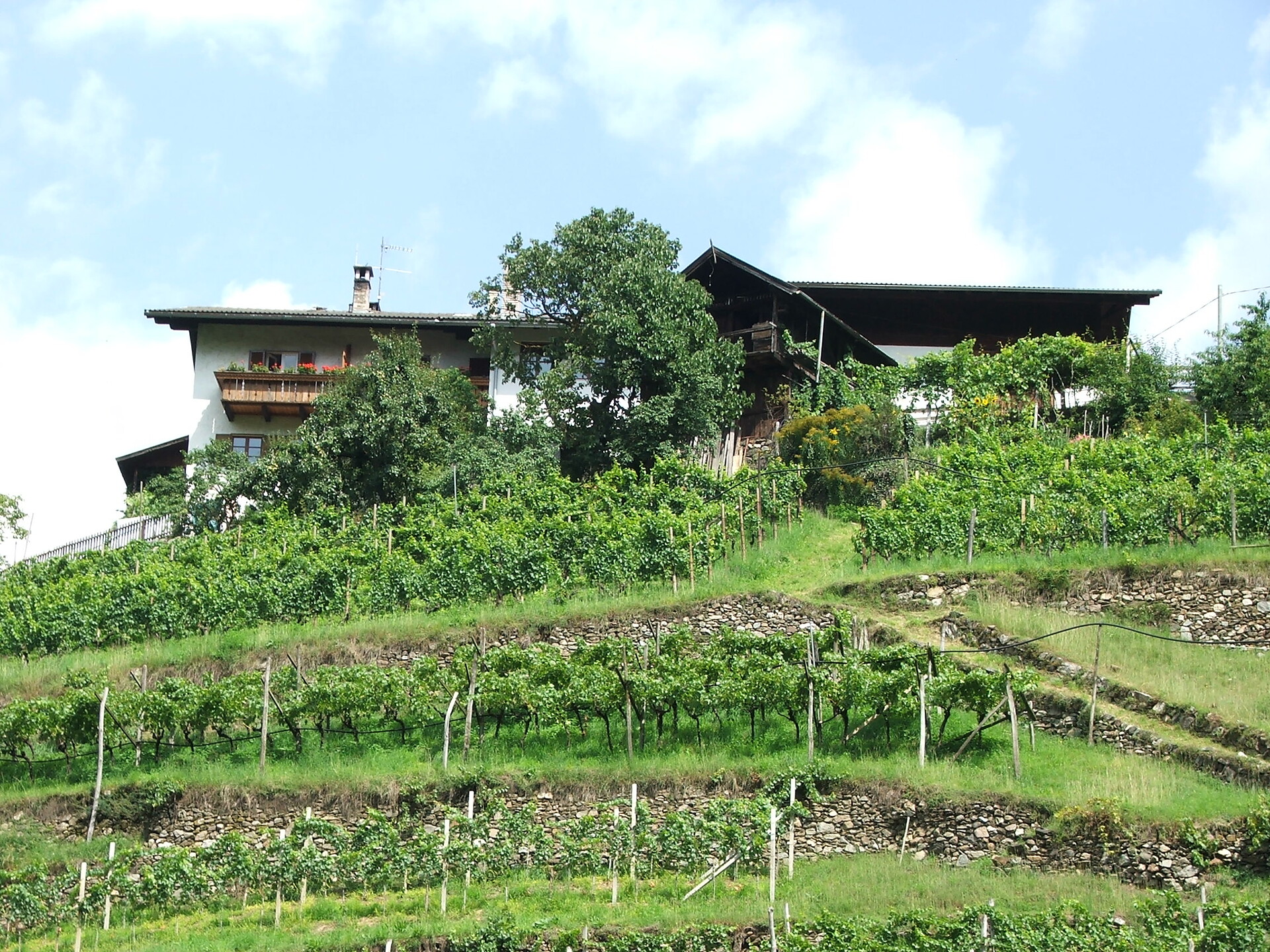 Unterbühlerhof