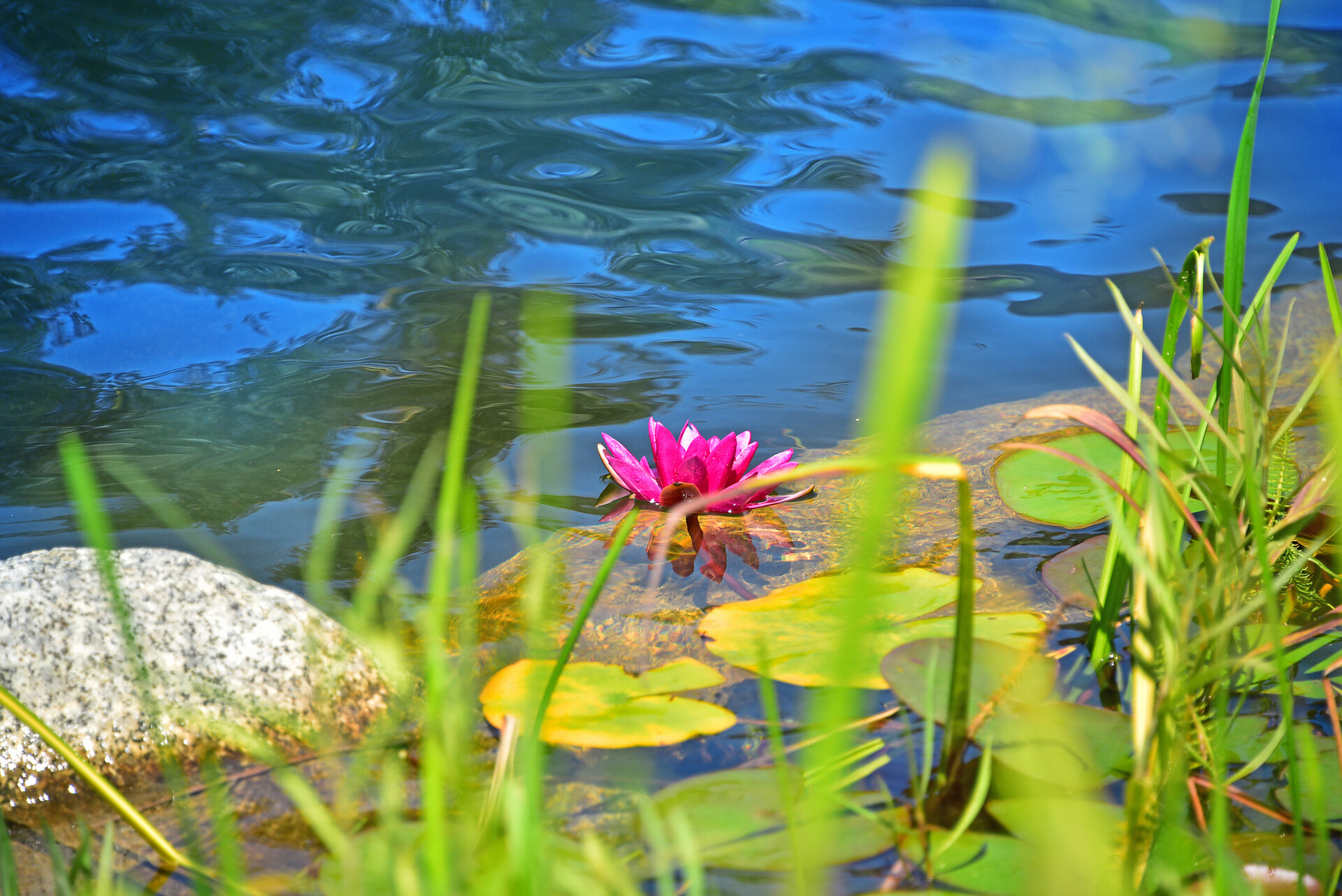 Bathing Pond