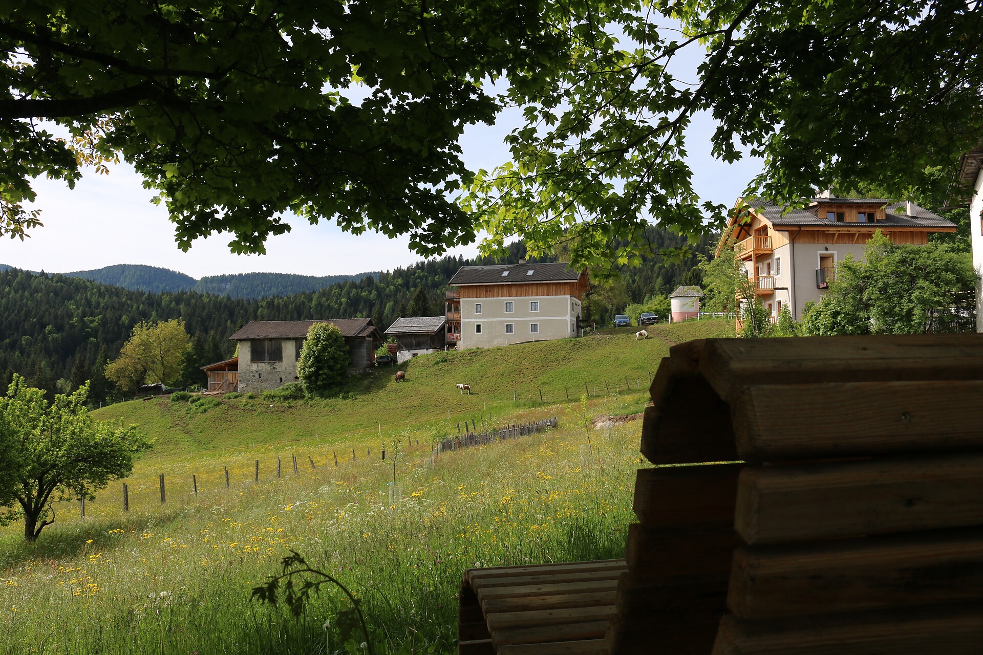 Unterweger Berg Apartments