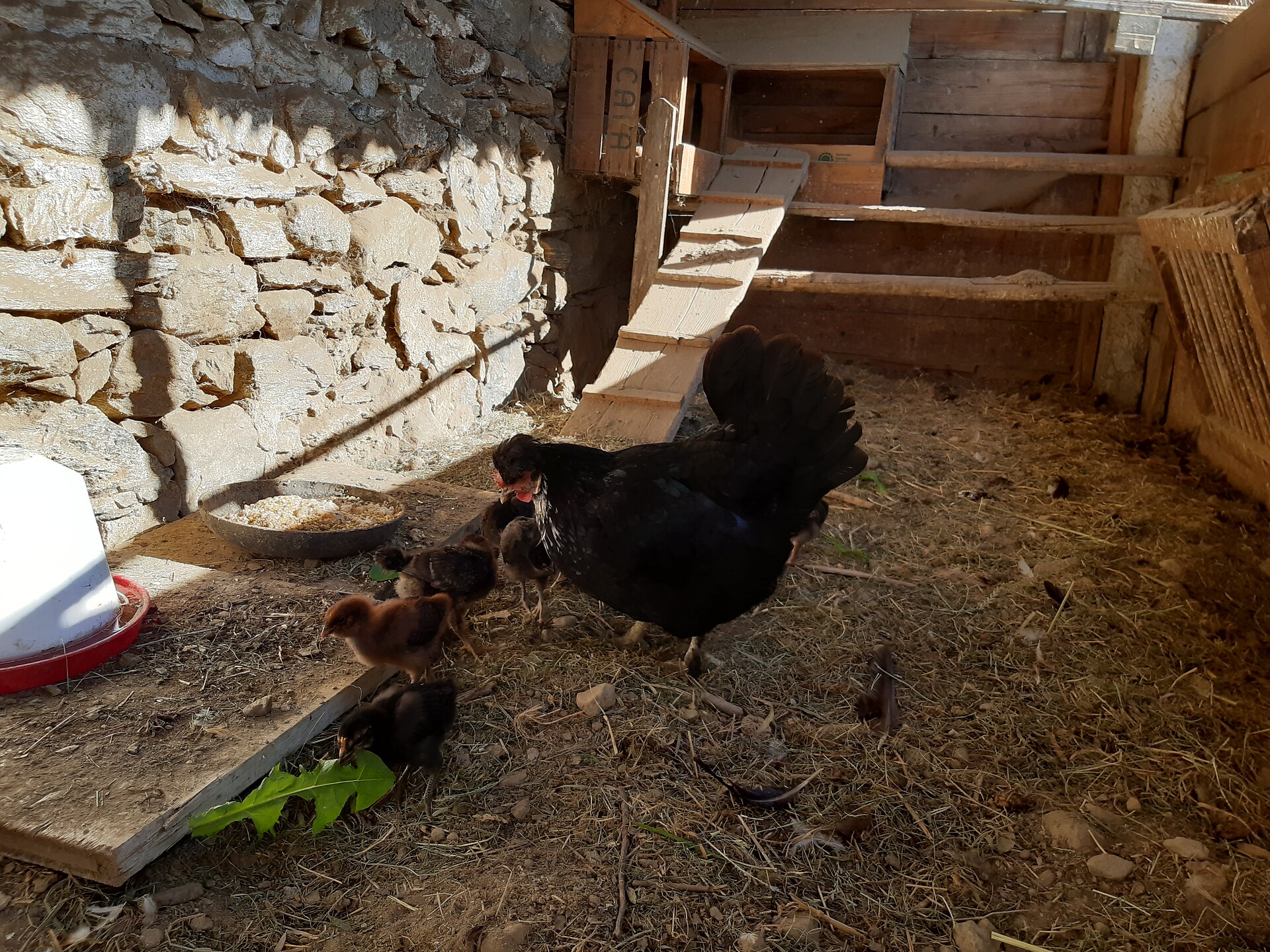 Agriturismo Annaheim