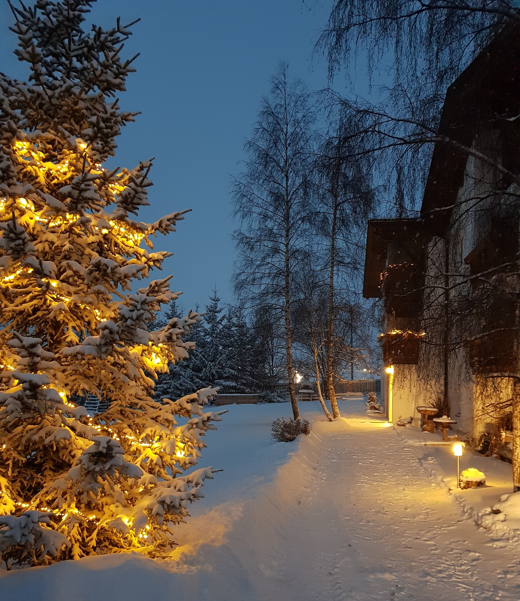 Winter