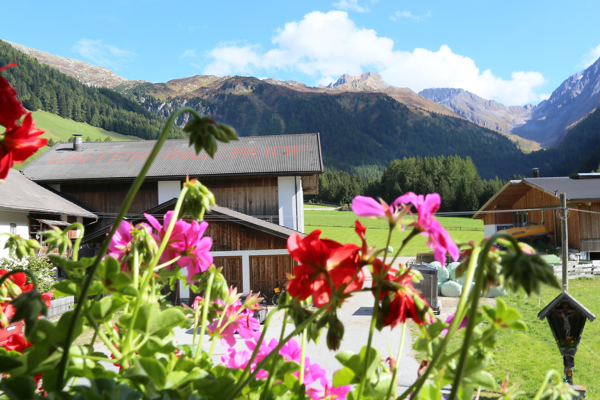 Bergblick