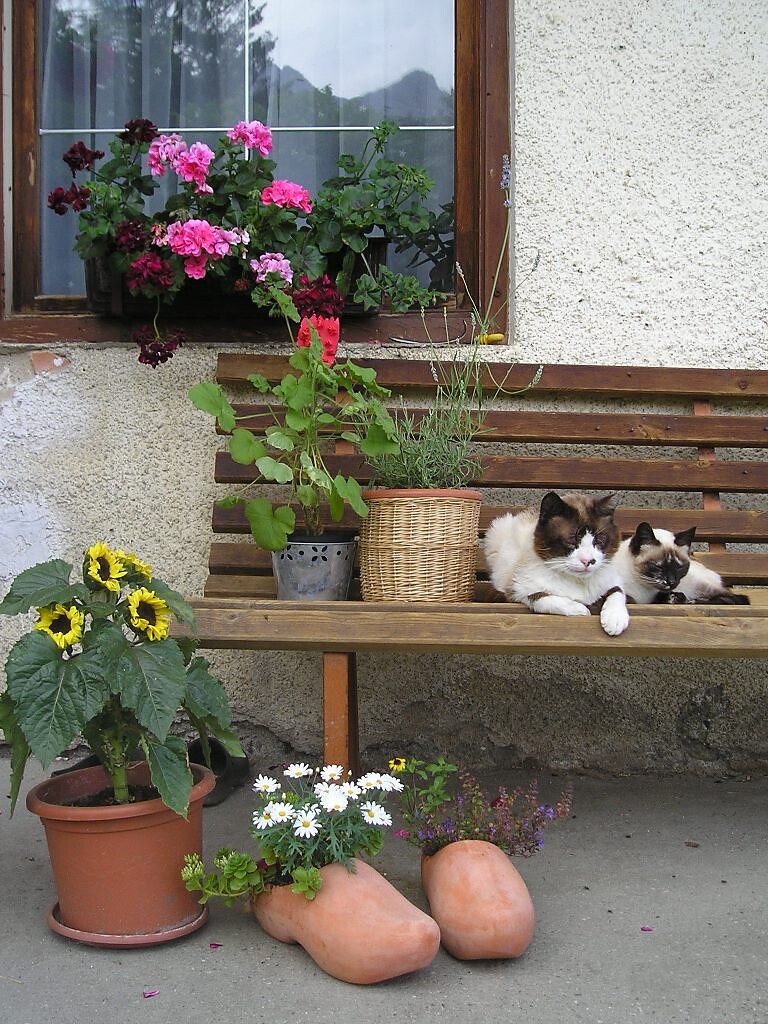 Urthalerhof