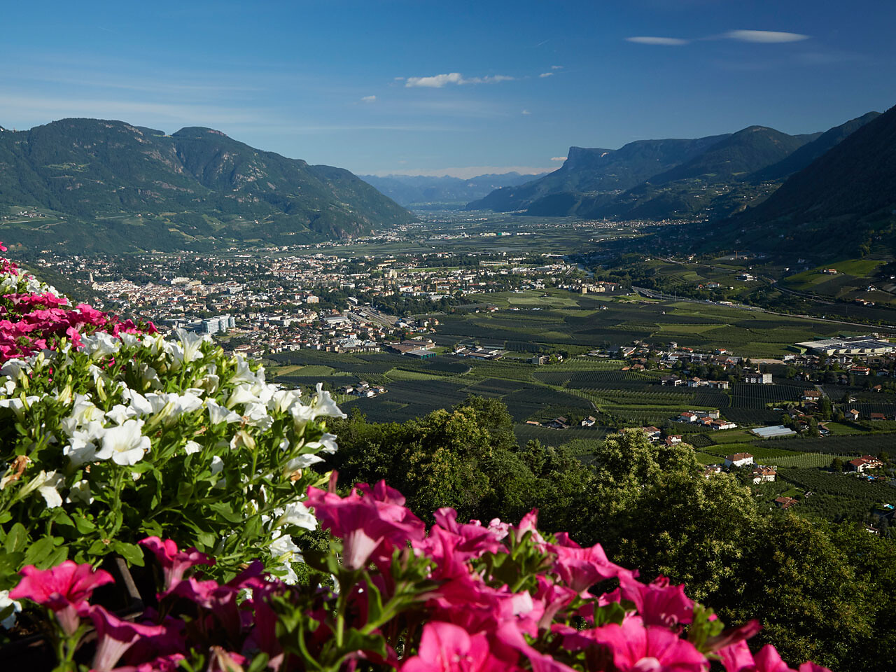 Panoramablick