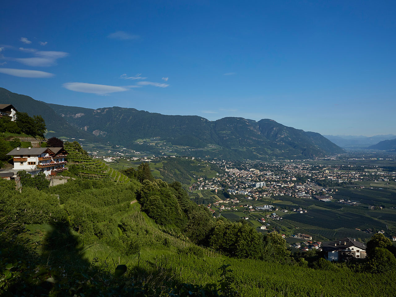Panoramablick