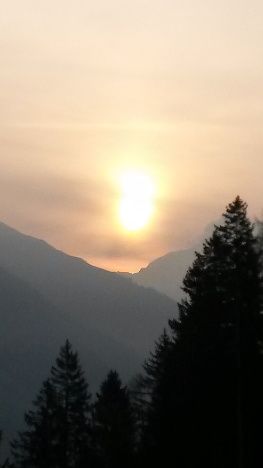 Sunshine
