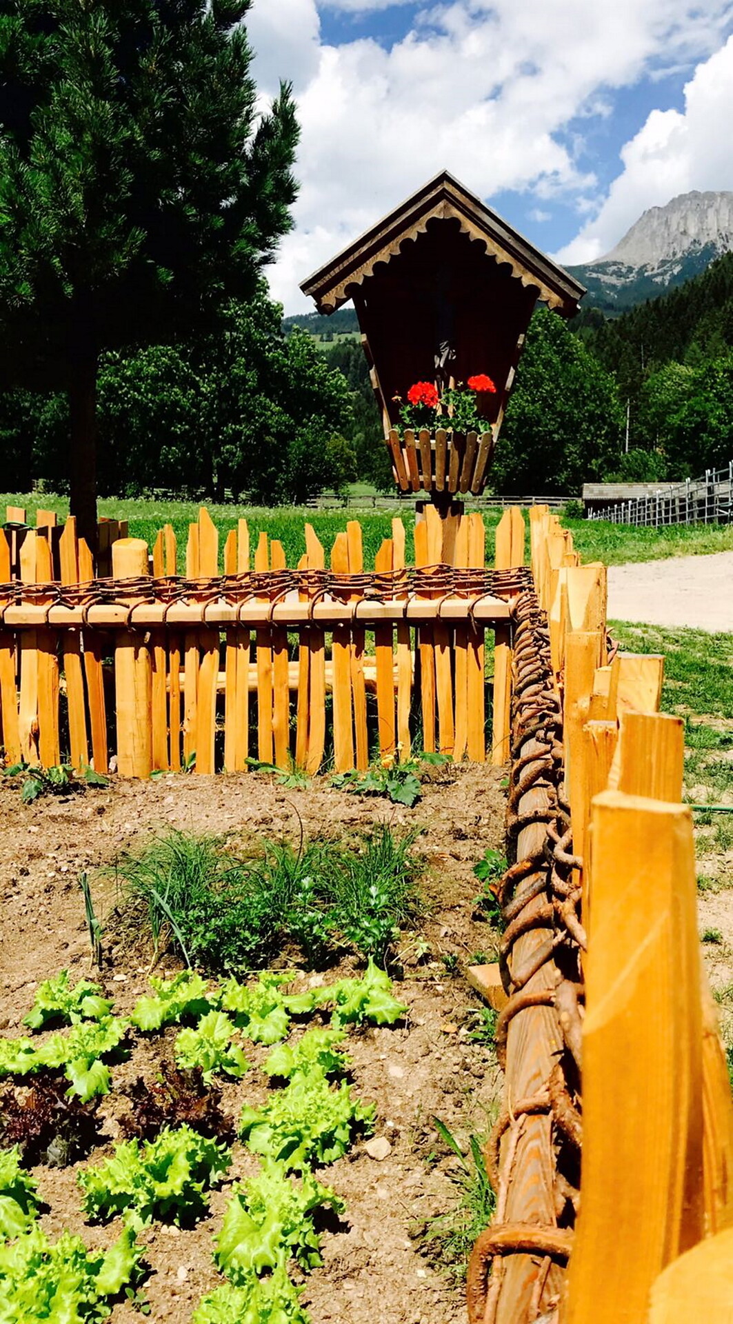 Garten