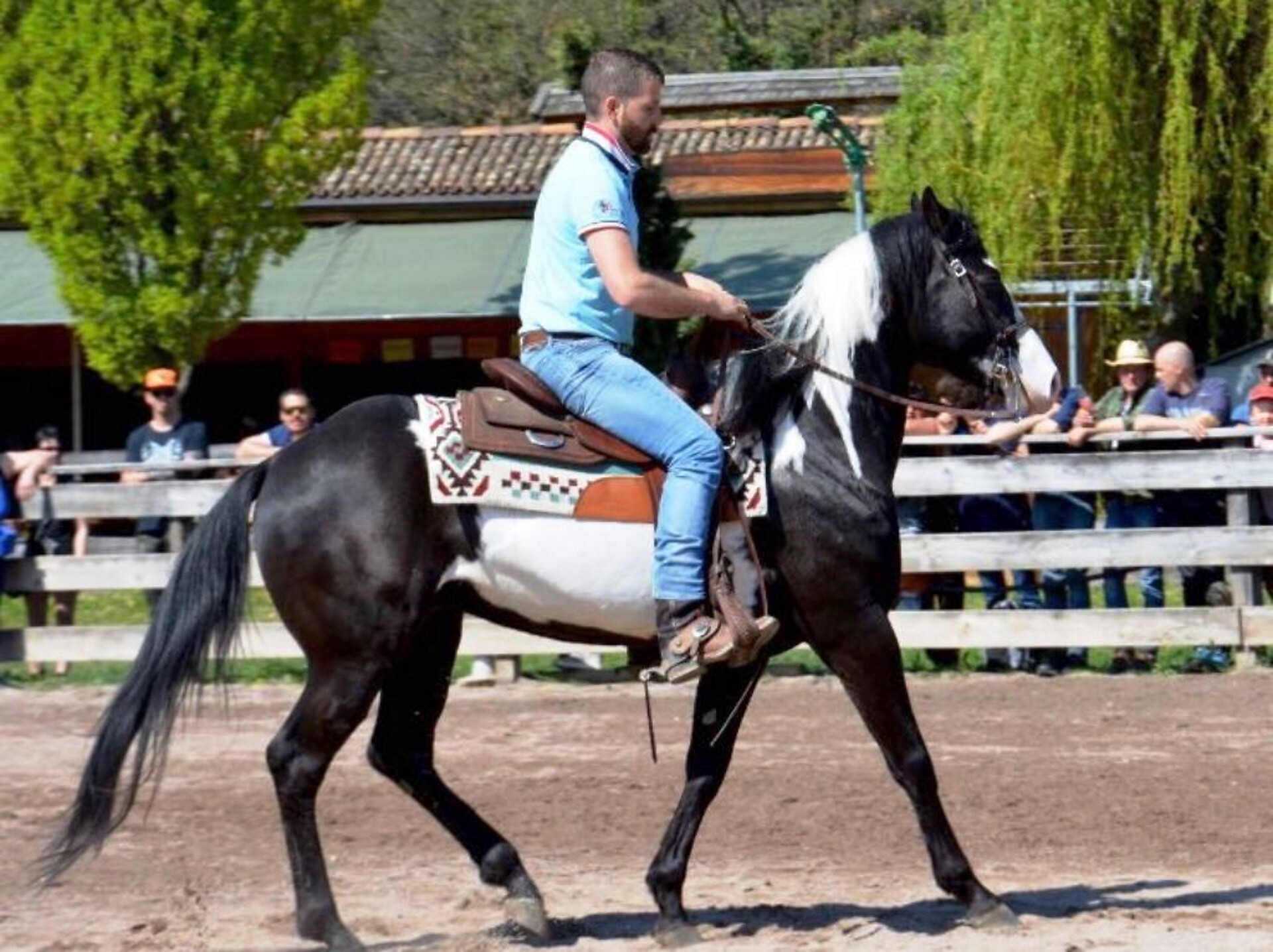 Reiten