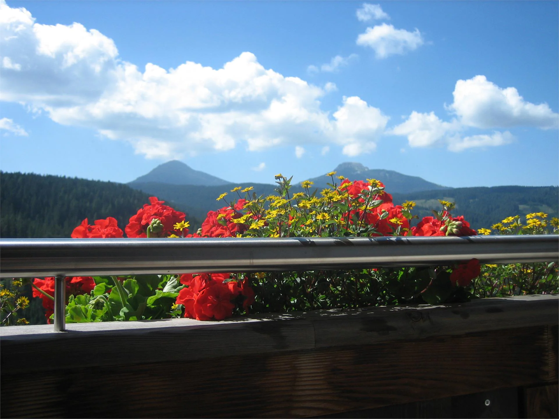 U.a.B. Stuppnerhof Deutschnofen/Nova Ponente 5 suedtirol.info