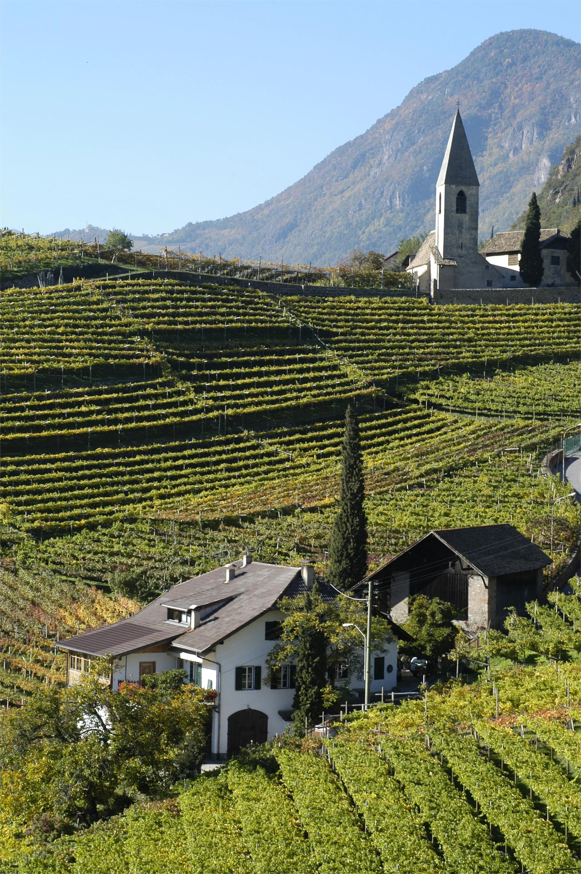 UNTERMOSERHOF Bolzano/Bozen 3 suedtirol.info