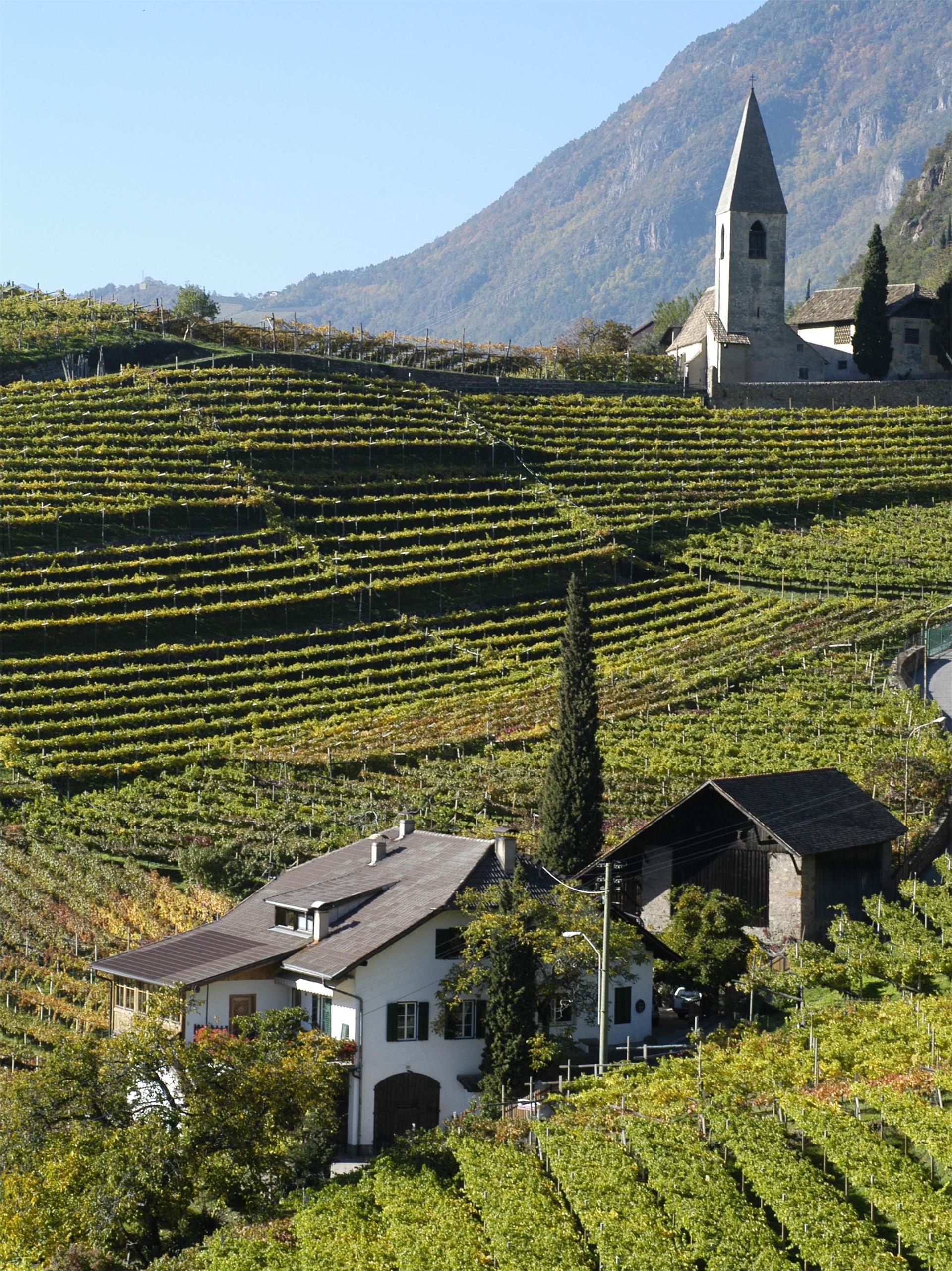 UNTERMOSERHOF Bozen 1 suedtirol.info