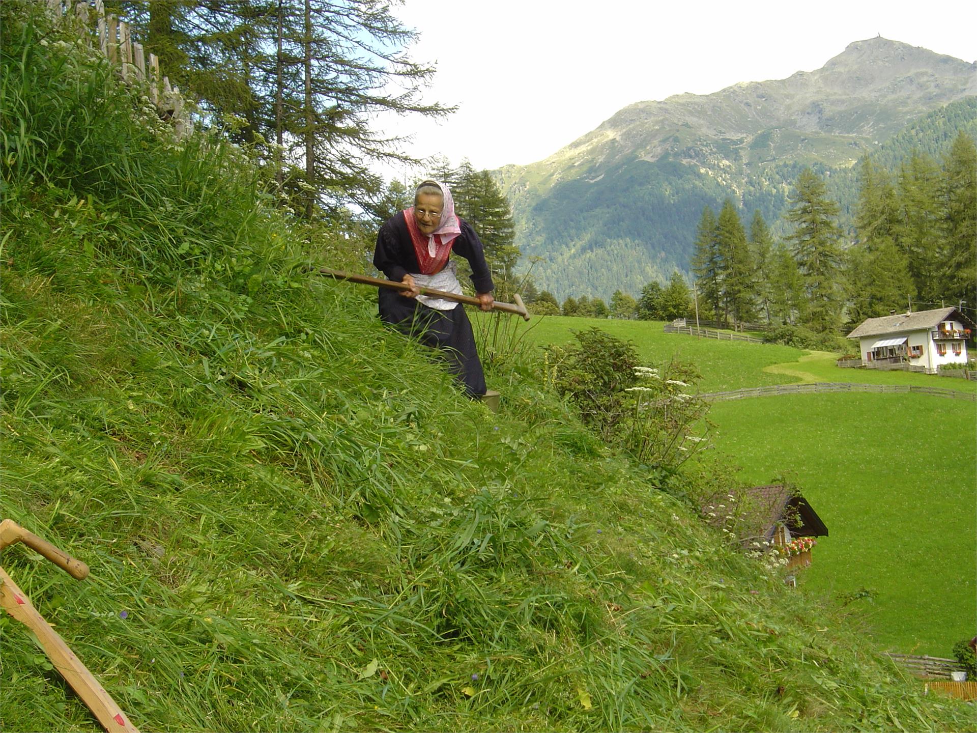 Urlaub auf dem Bauernhof Krautbichlhof Sarntal 14 suedtirol.info