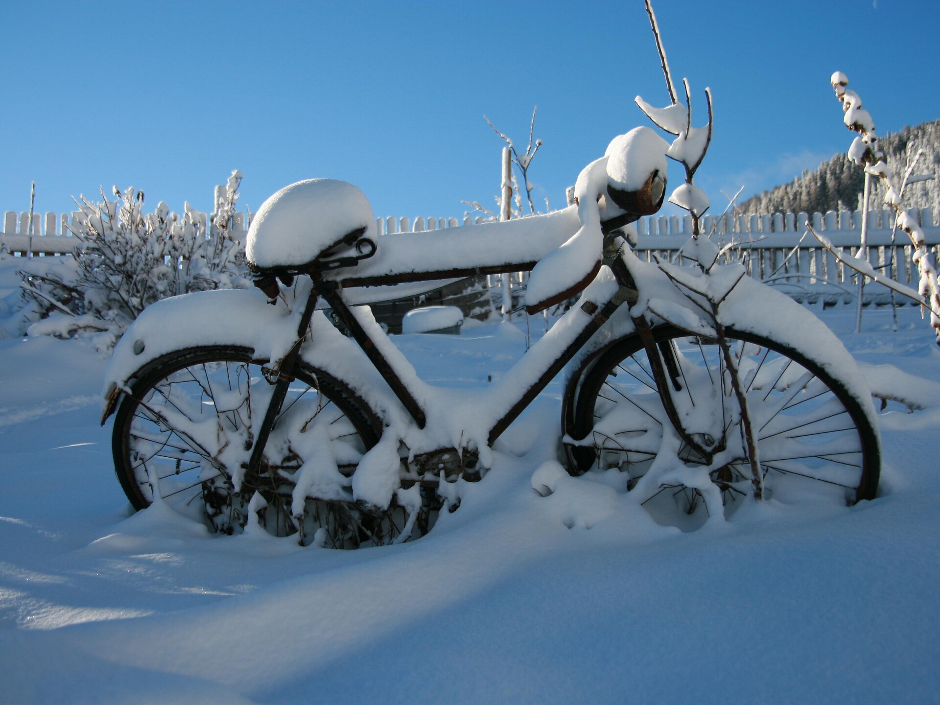 Wintersport Sunnleitn