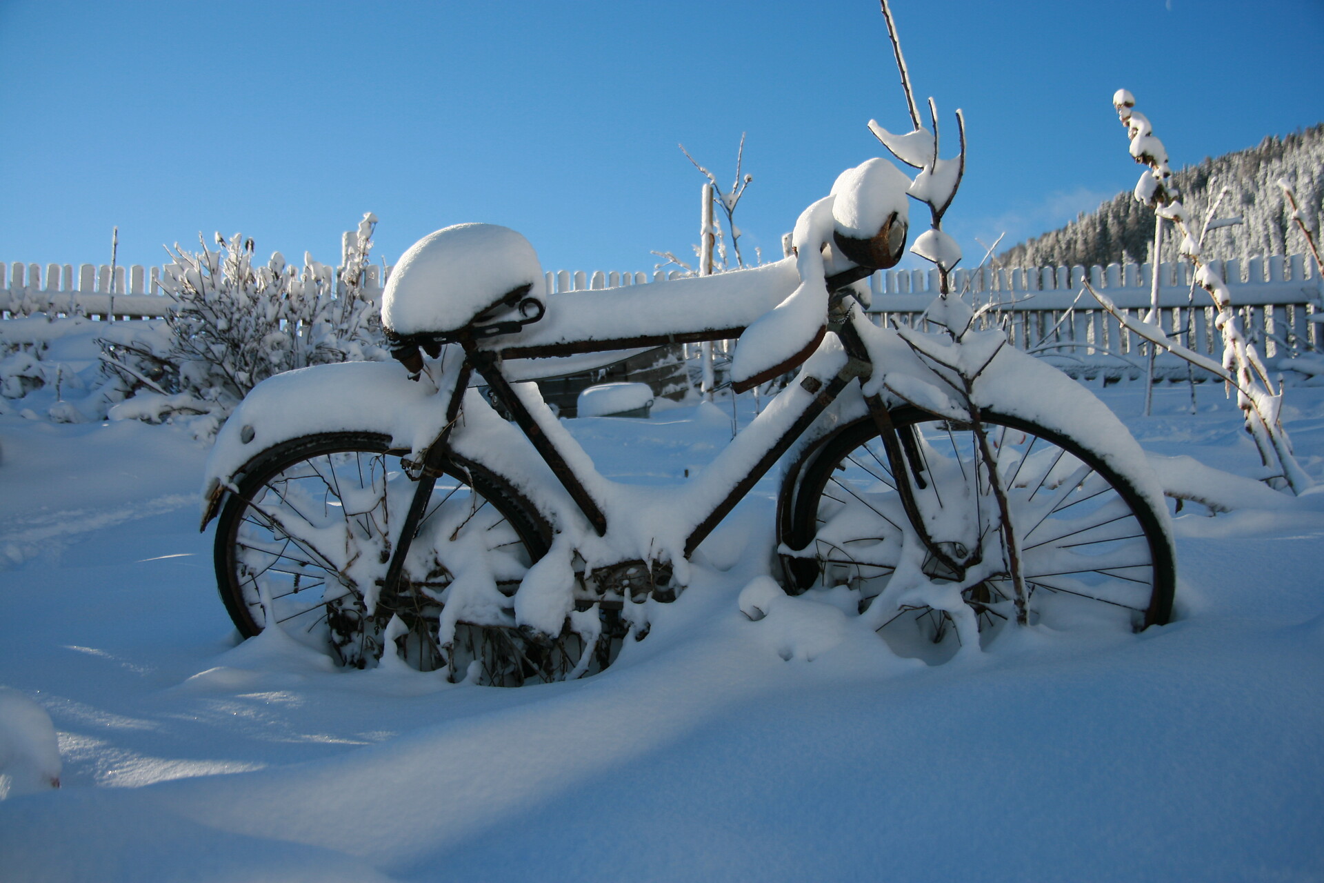 Winter