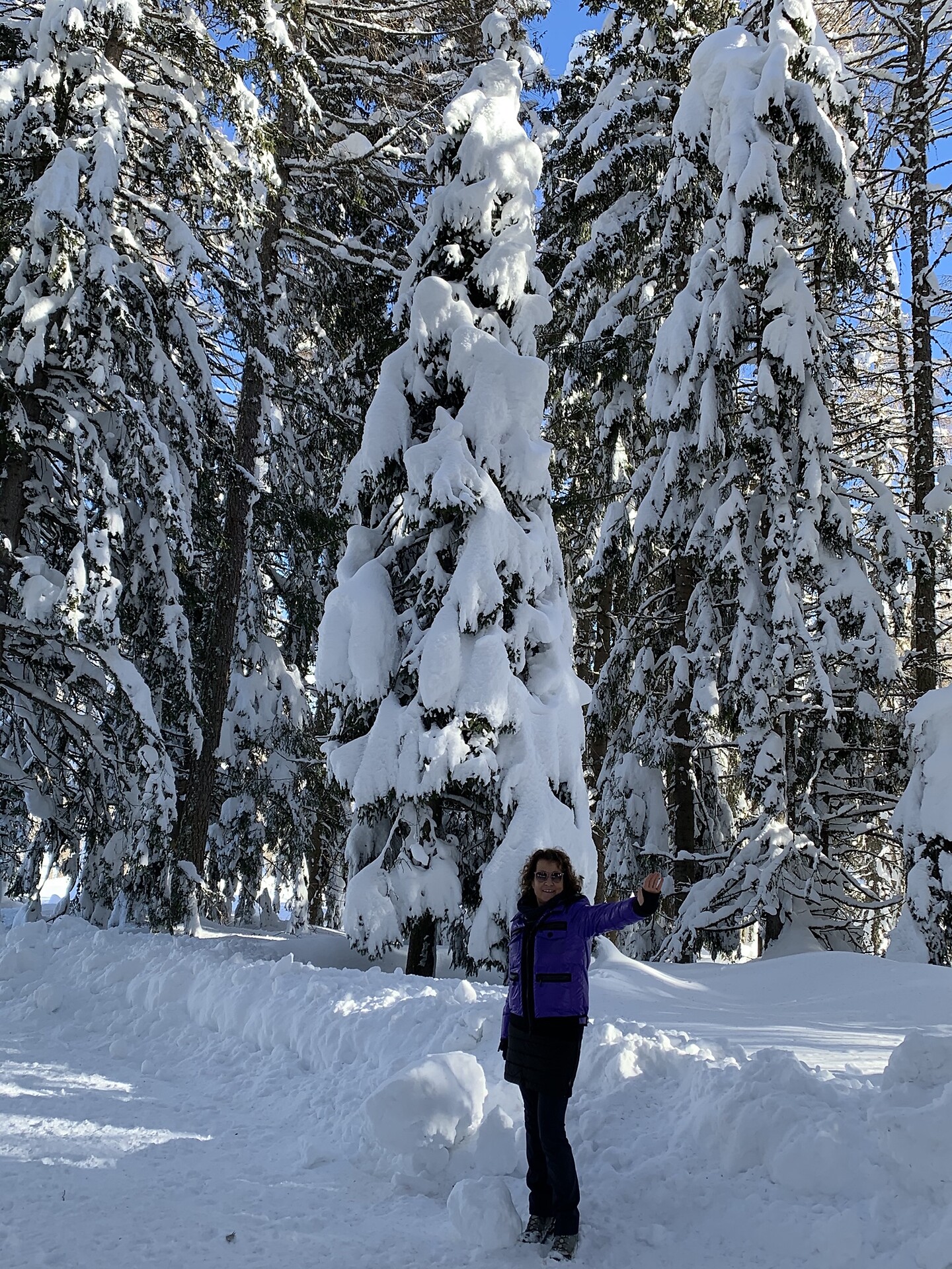 Residence Villa Schlern