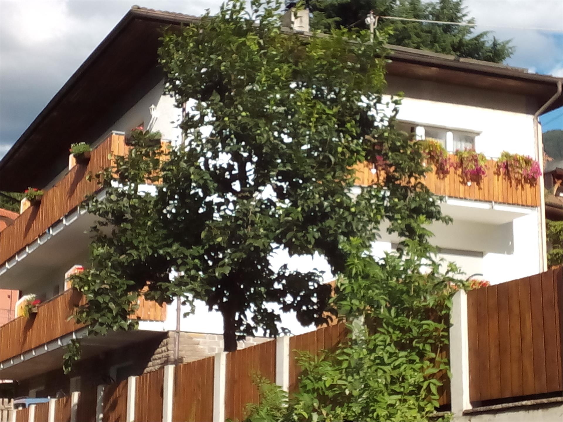 Vermietung Obermais Merano 1 suedtirol.info