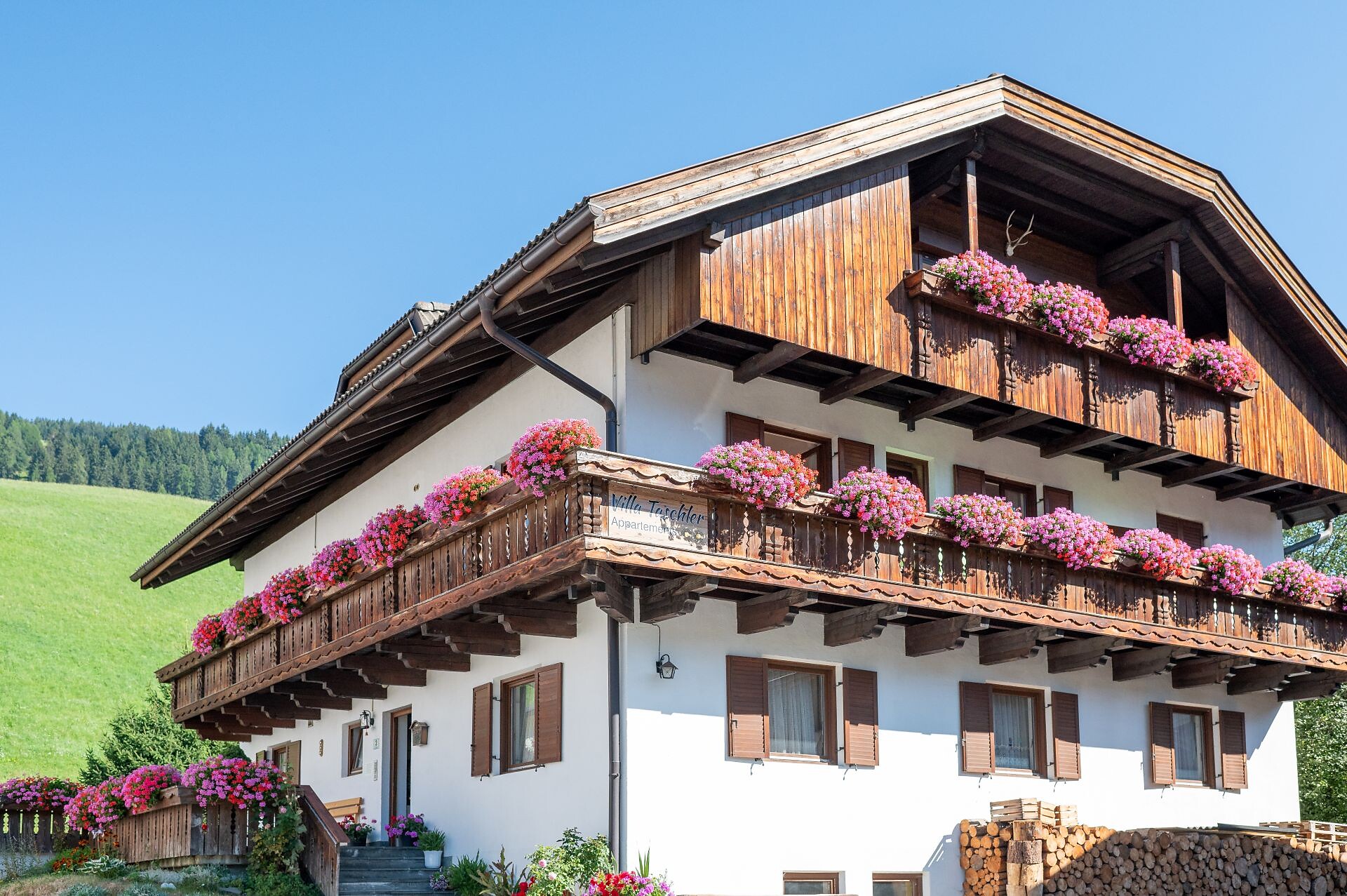 Villa Taschler