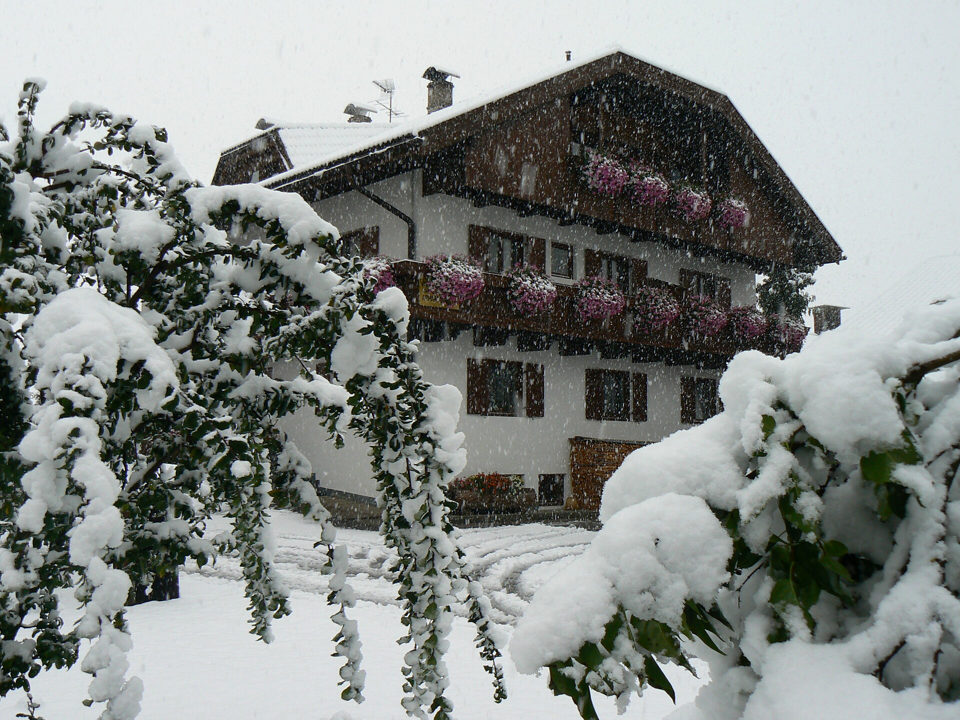 Villa Taschler
