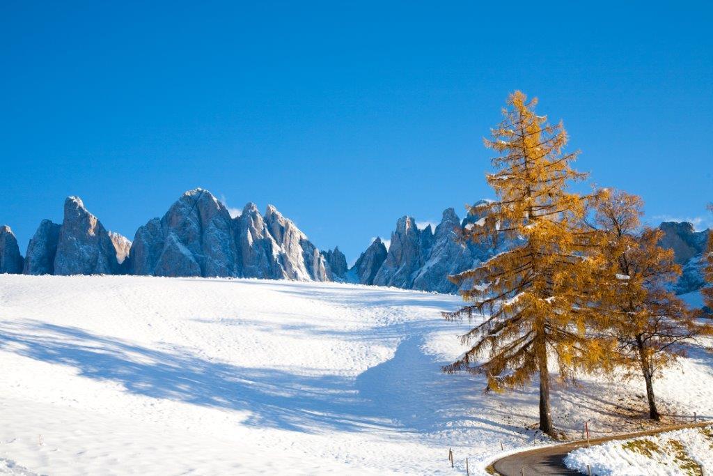 Verlotthof Funes 8 suedtirol.info