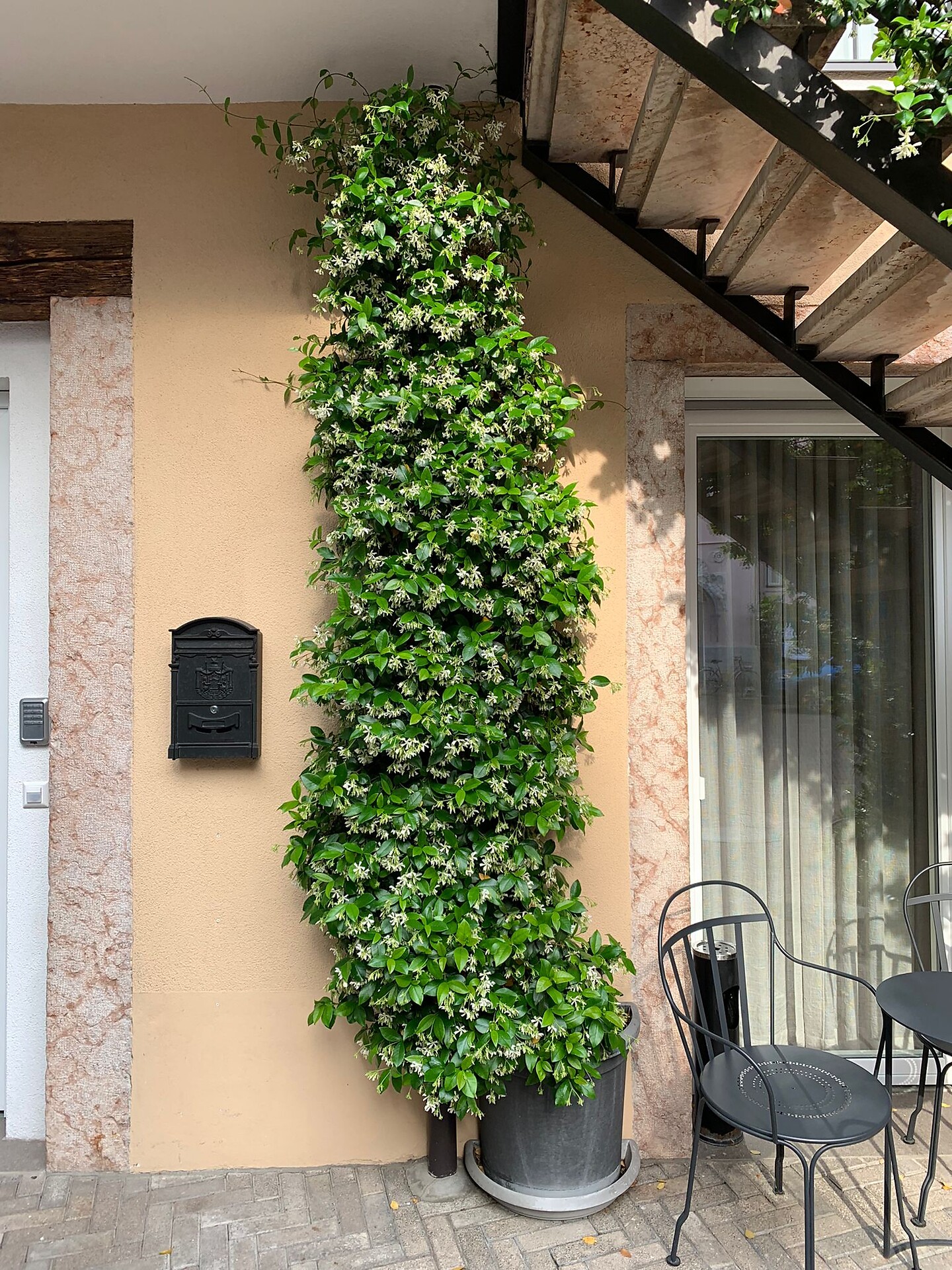 Villa Jasmine Guesthouse