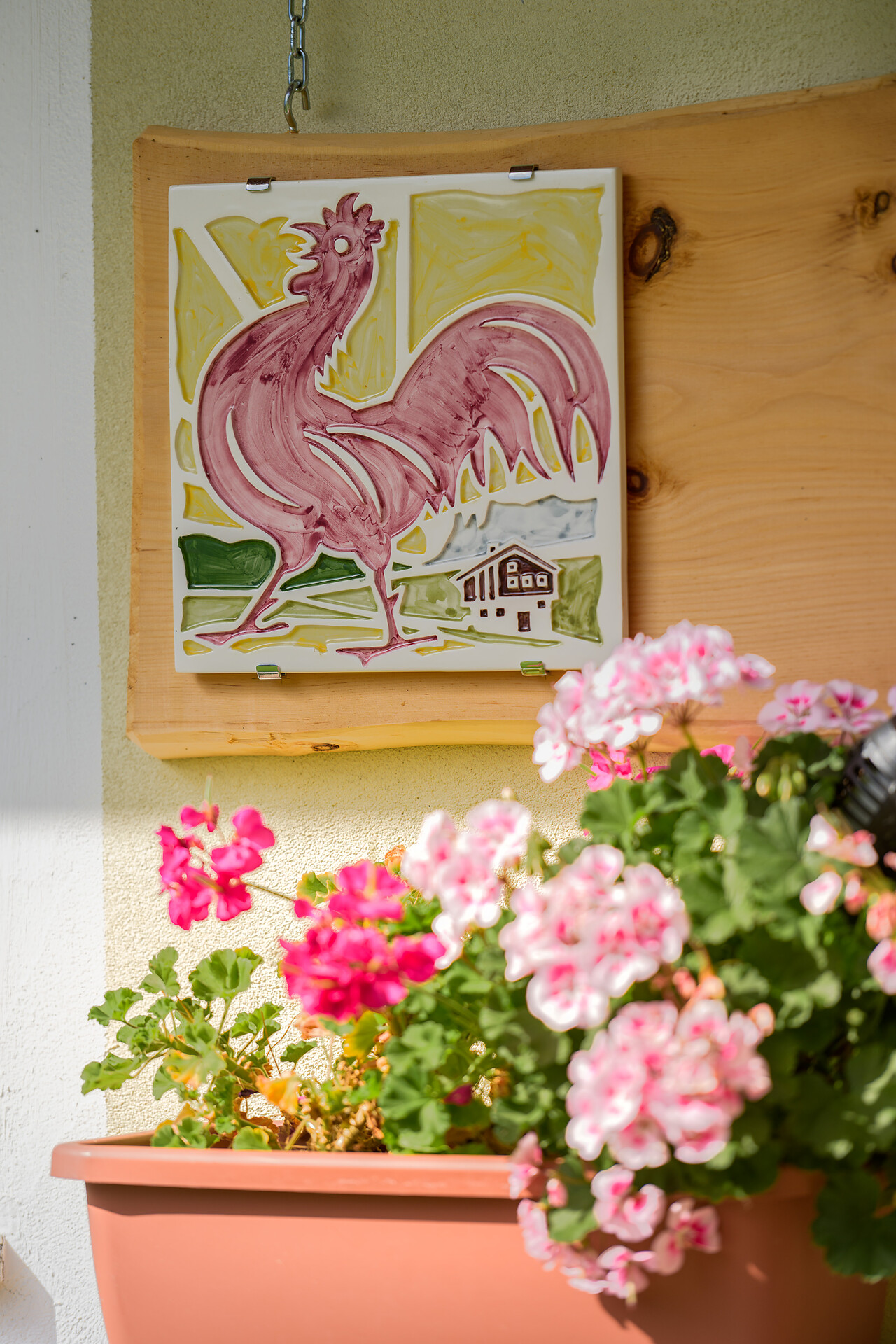 Gallo Rosso