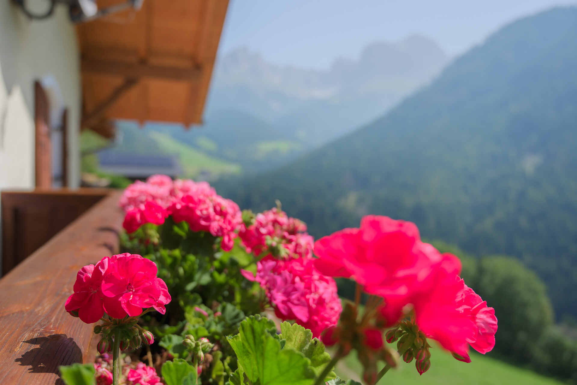 Panorama balcone