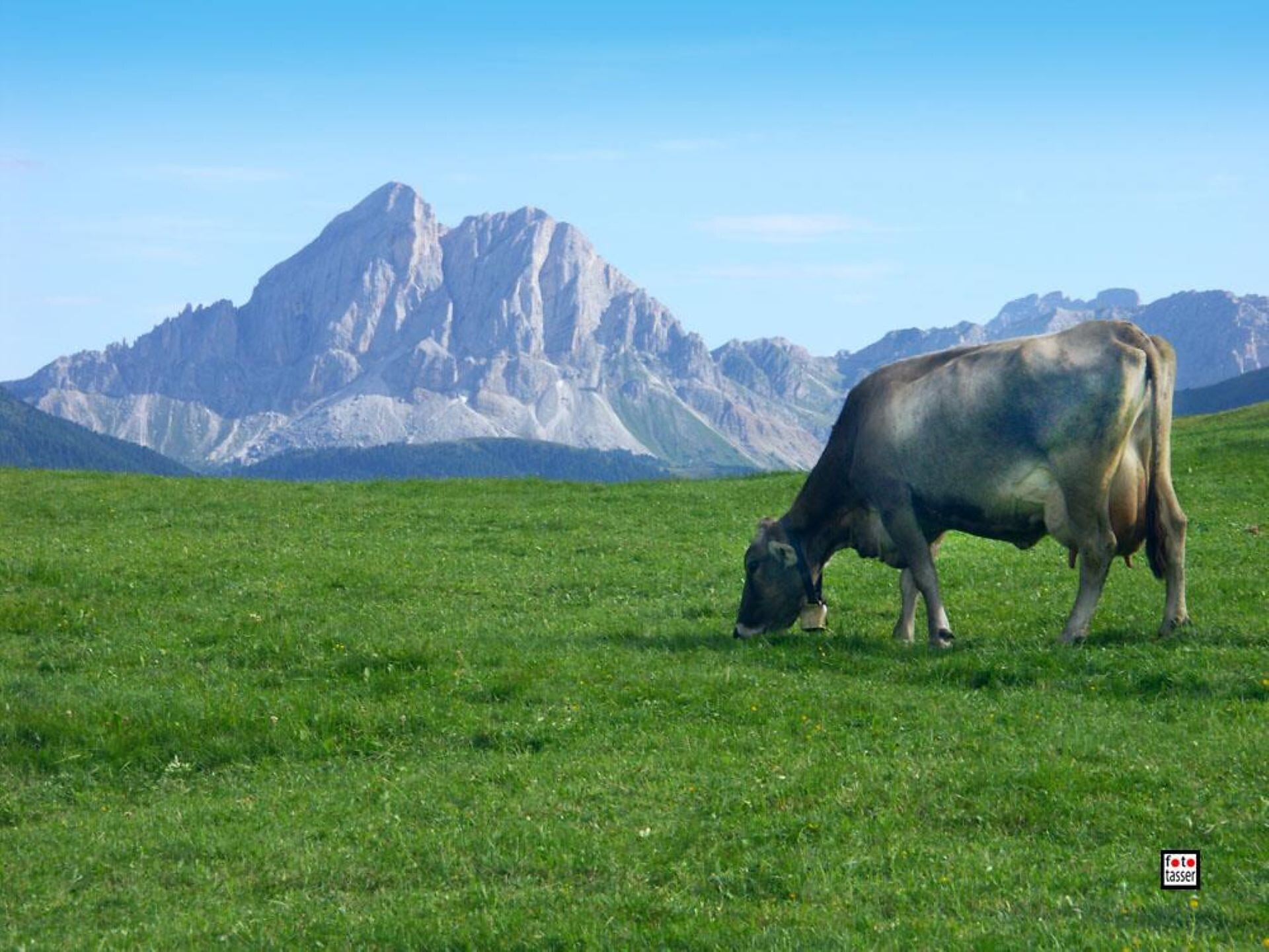 Malga di Rodengo