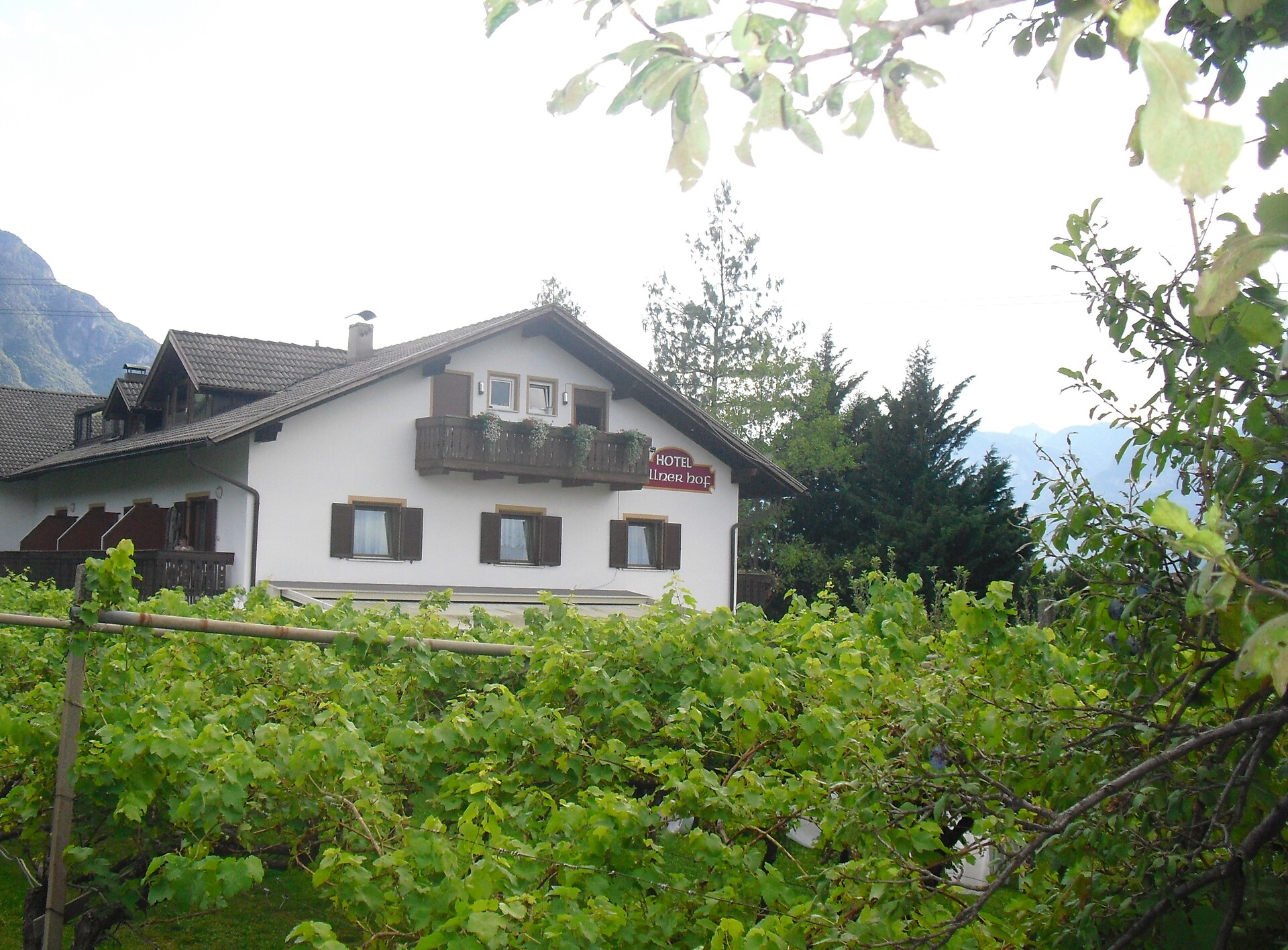 Villnerhof
