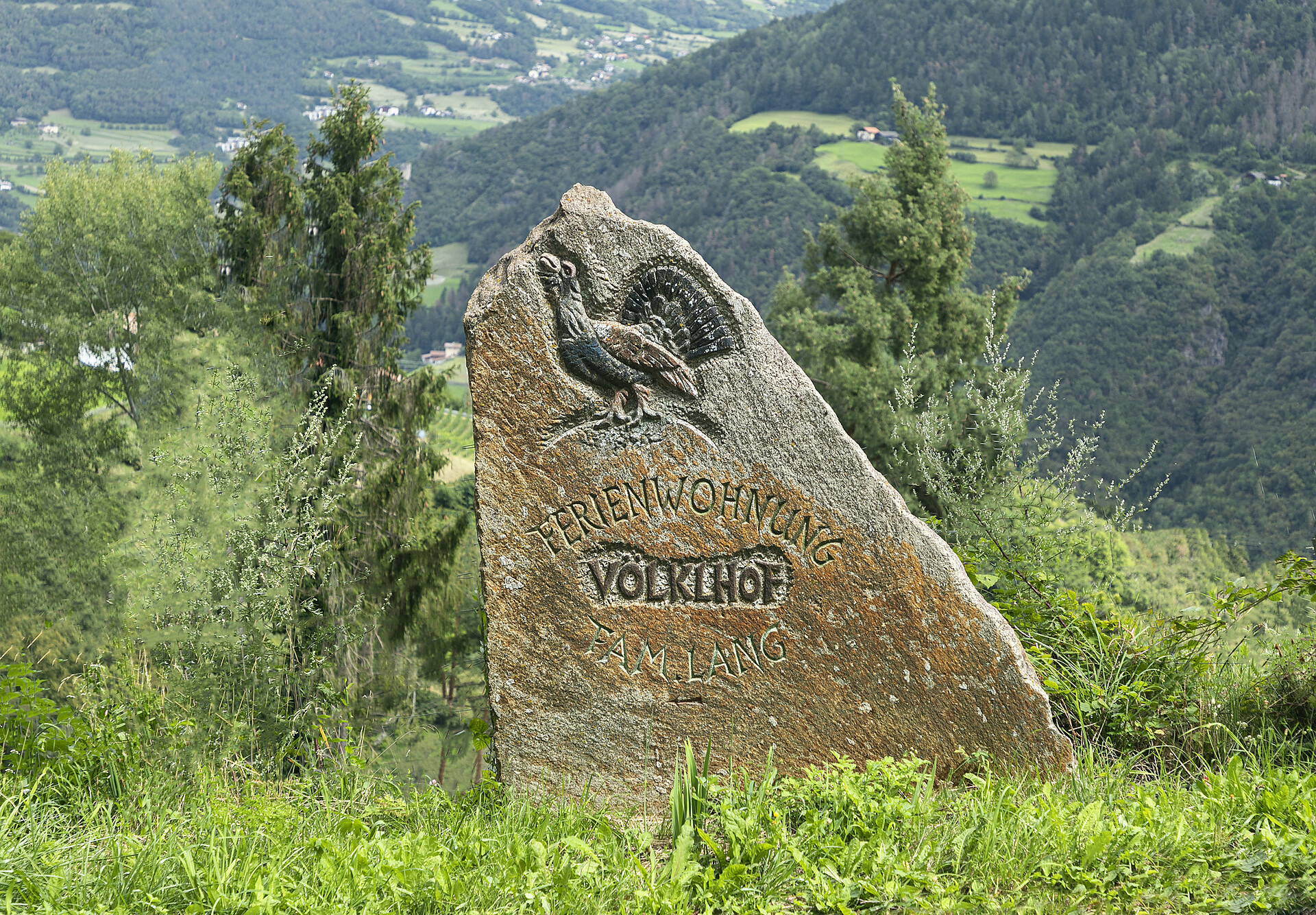 Völkl Ritten