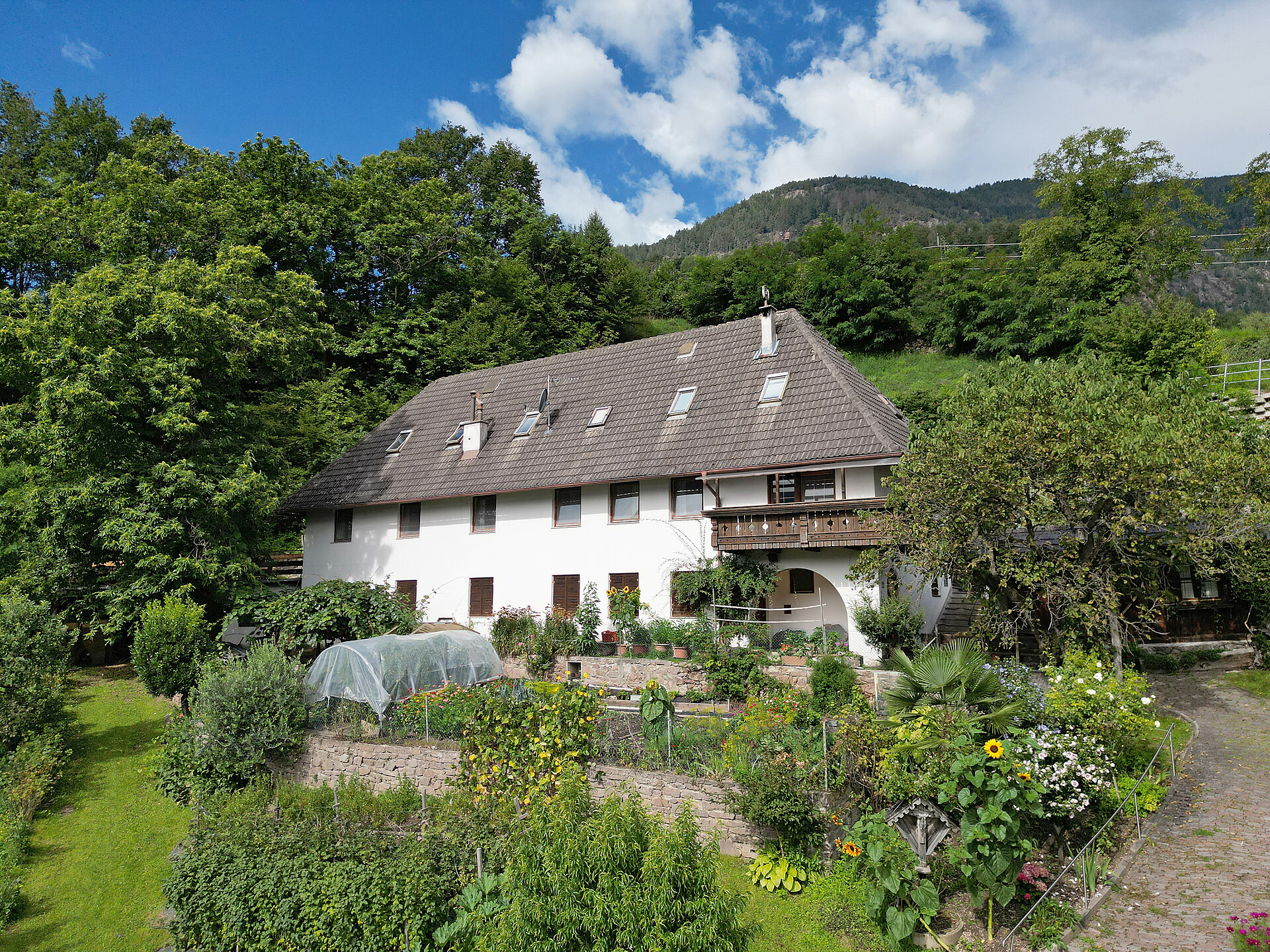 Völkl Ritten